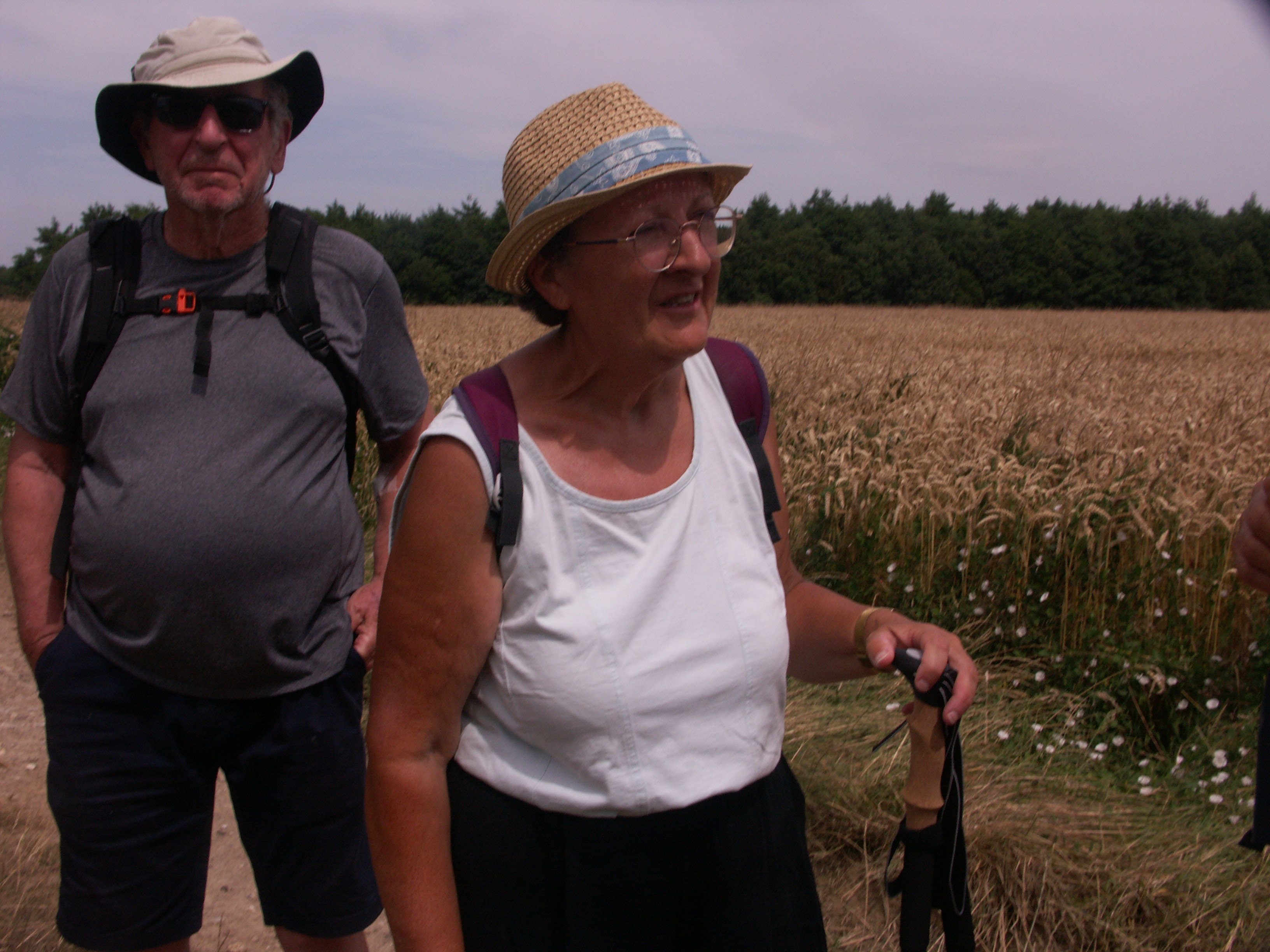 Image 104