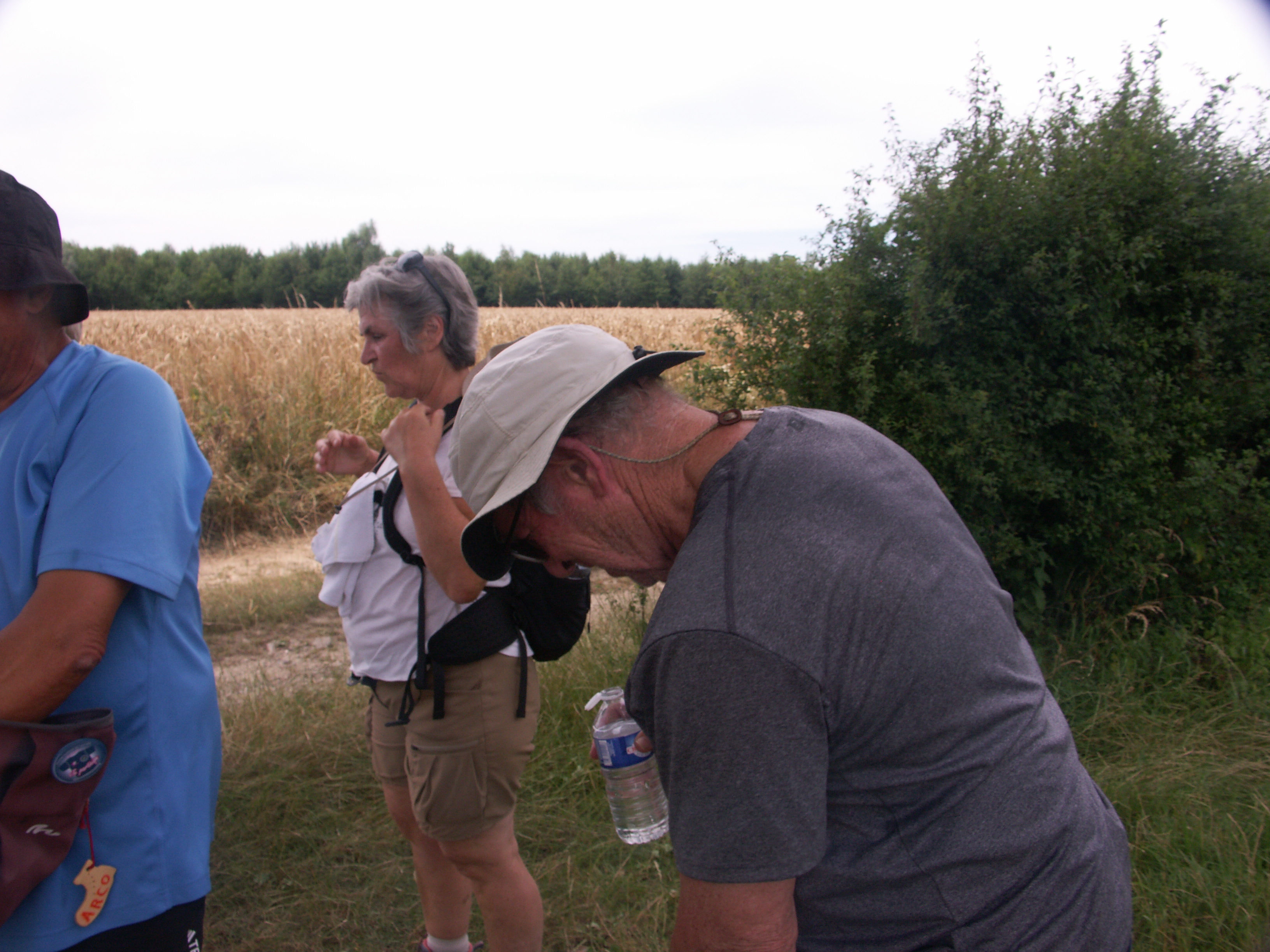 Image 172