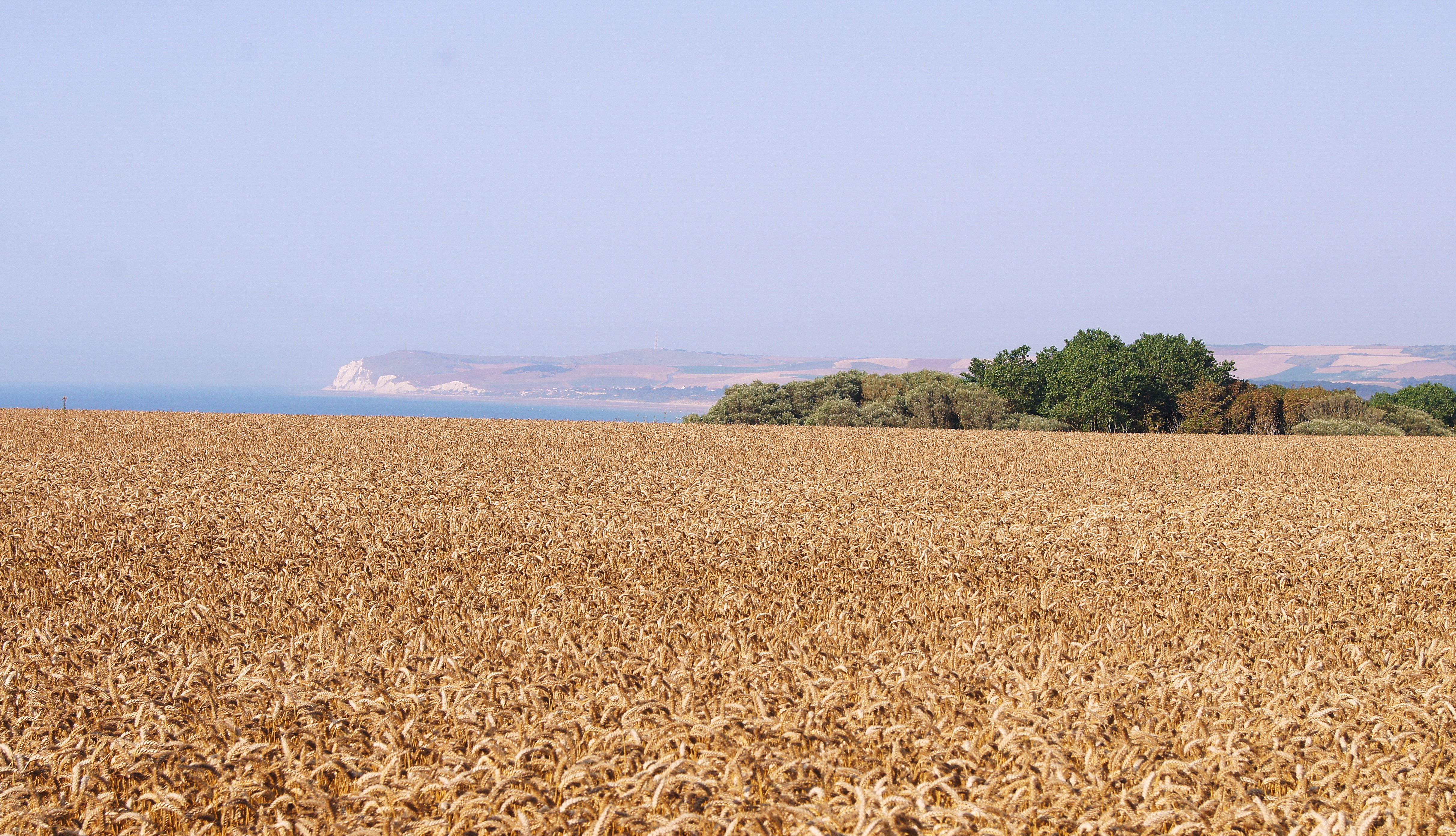 Image 16