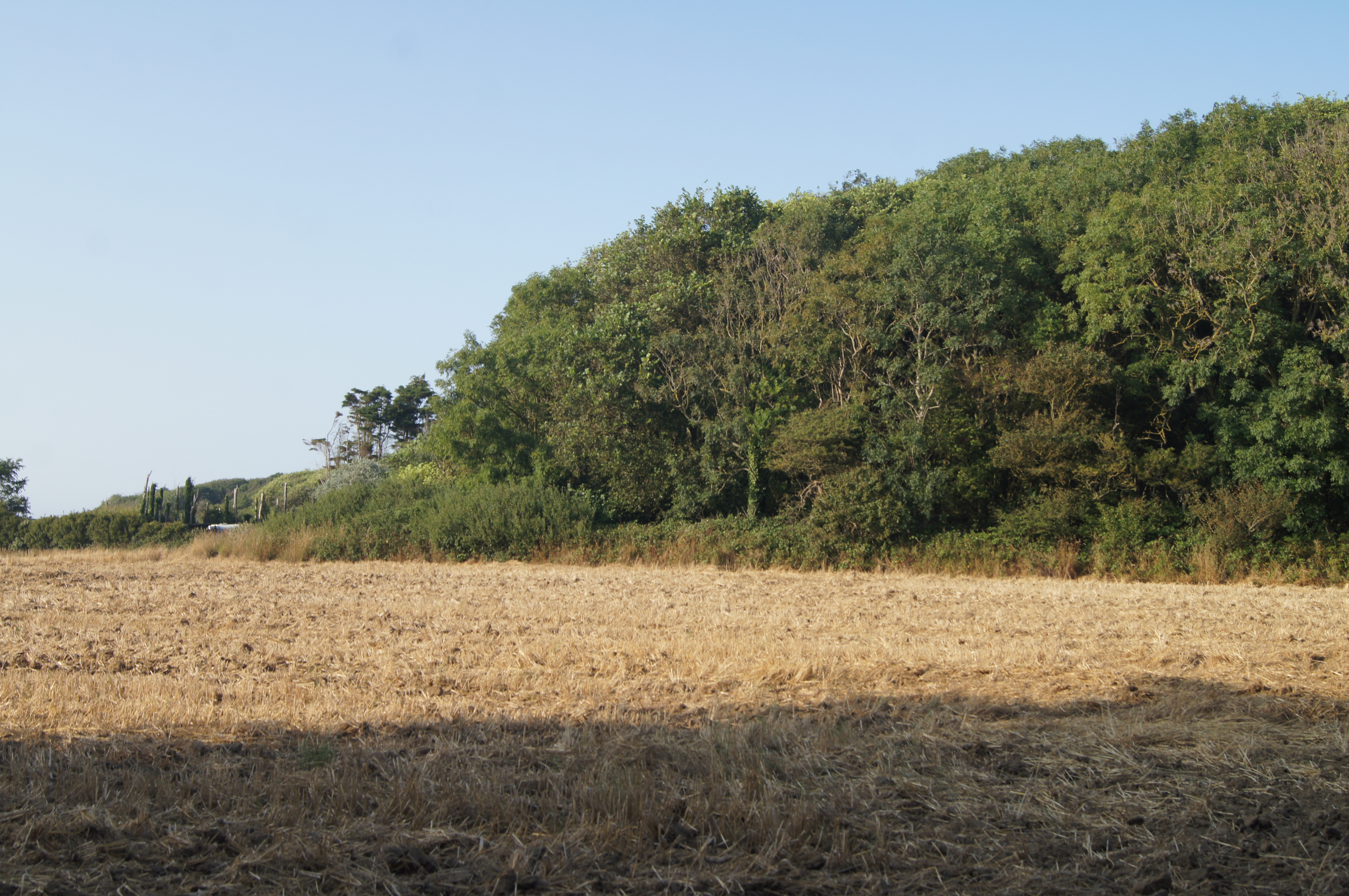 Image 17