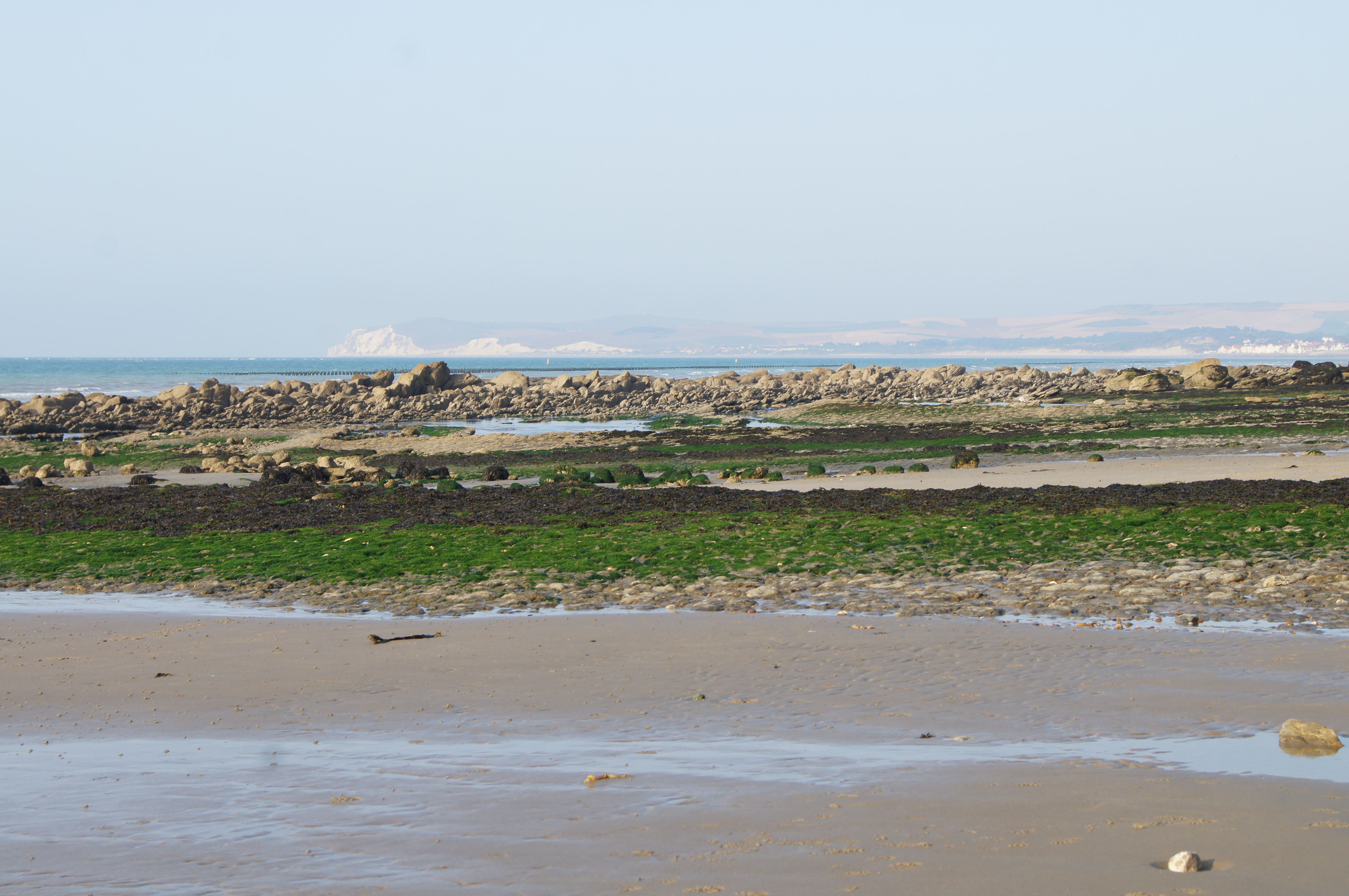Image 33