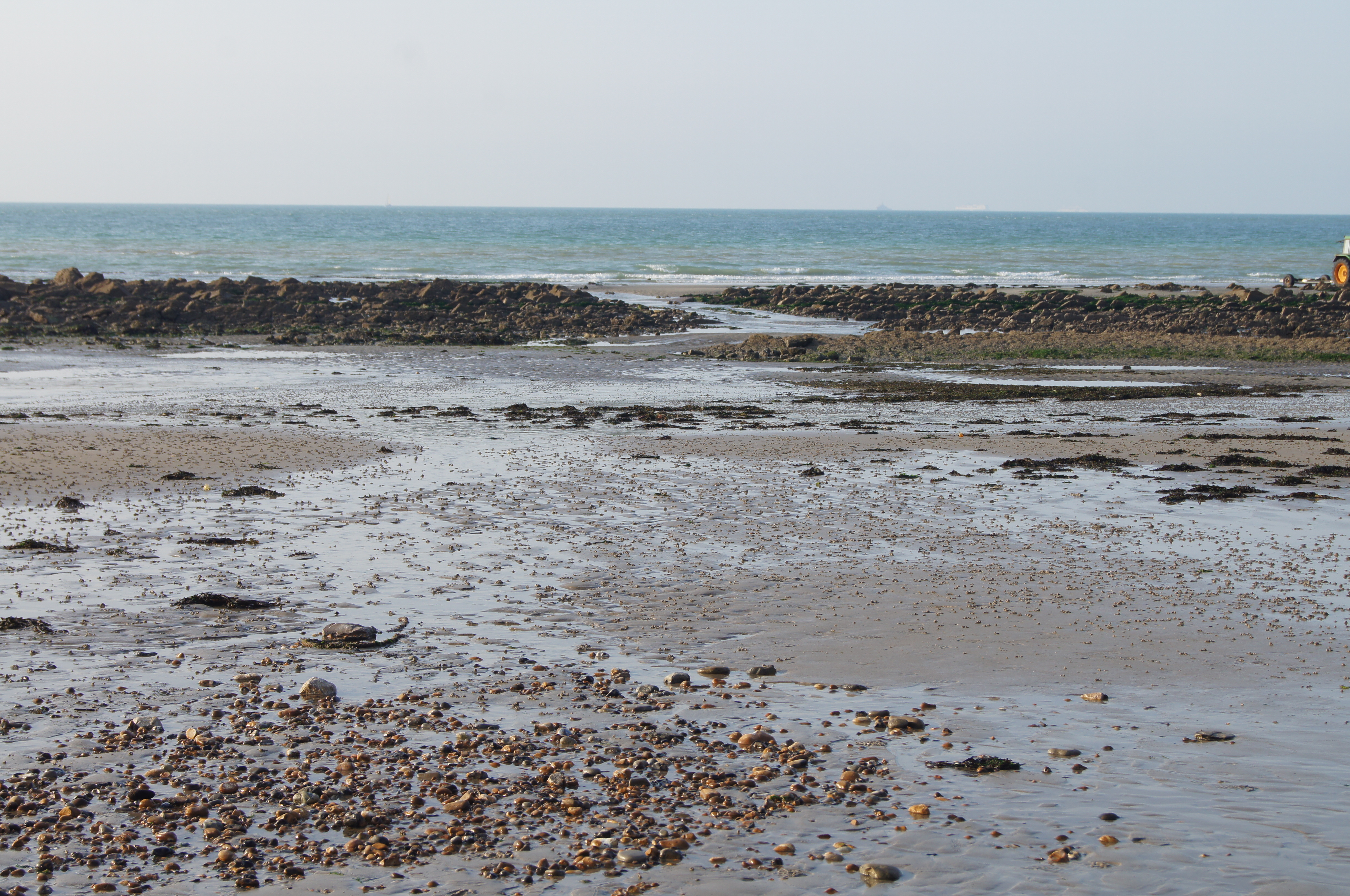 Image 230