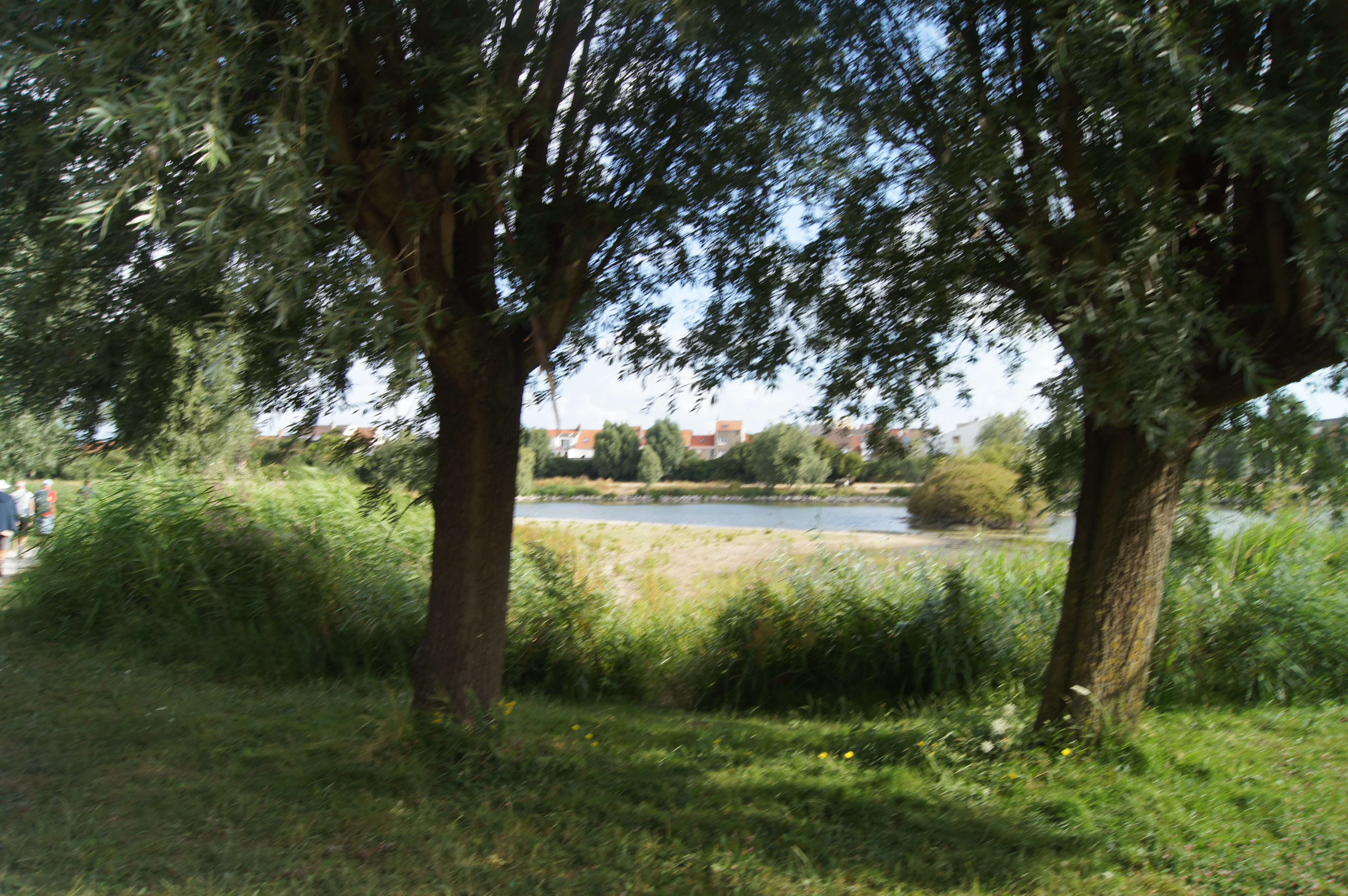 Image 20