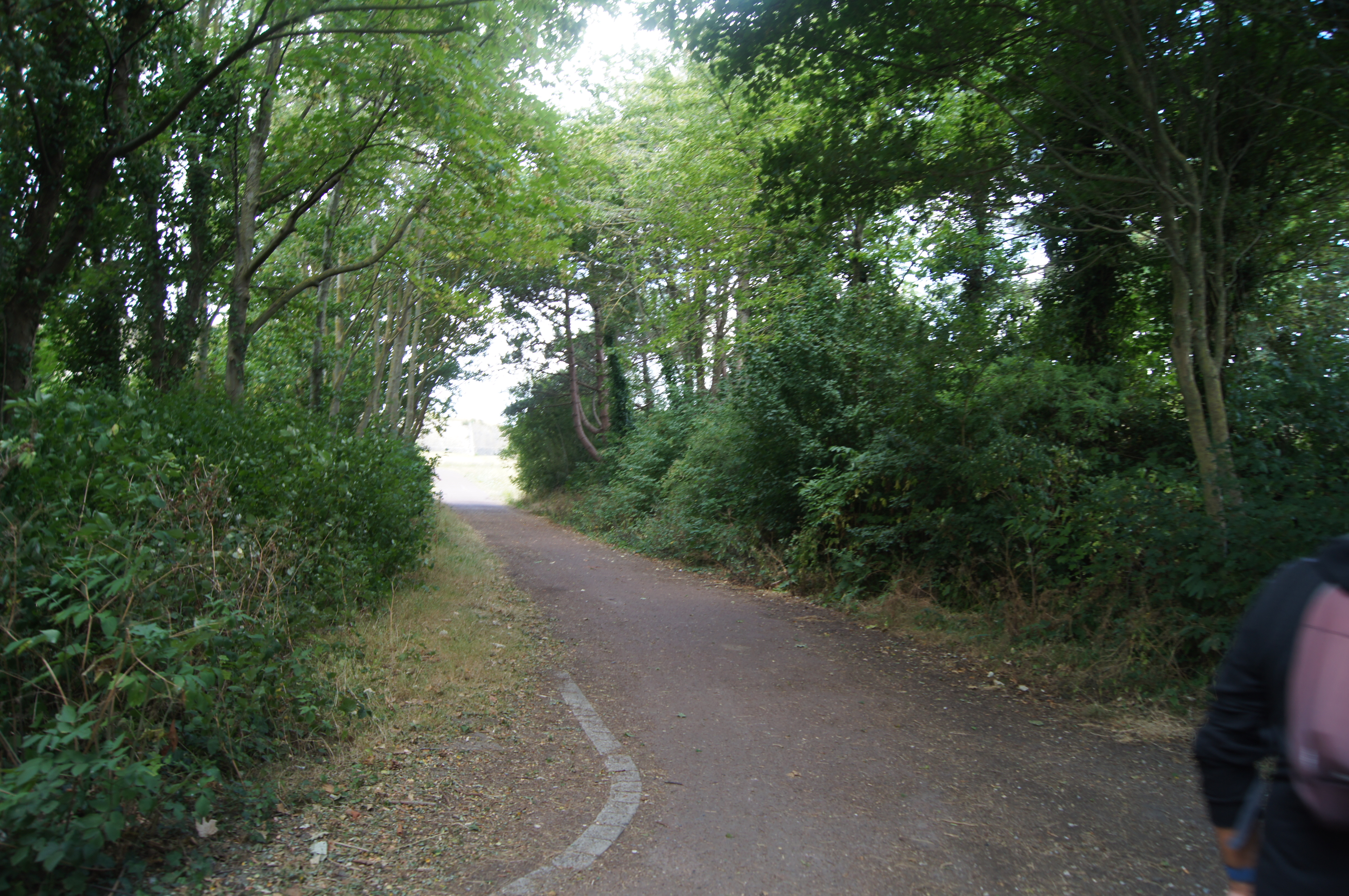 Image 151