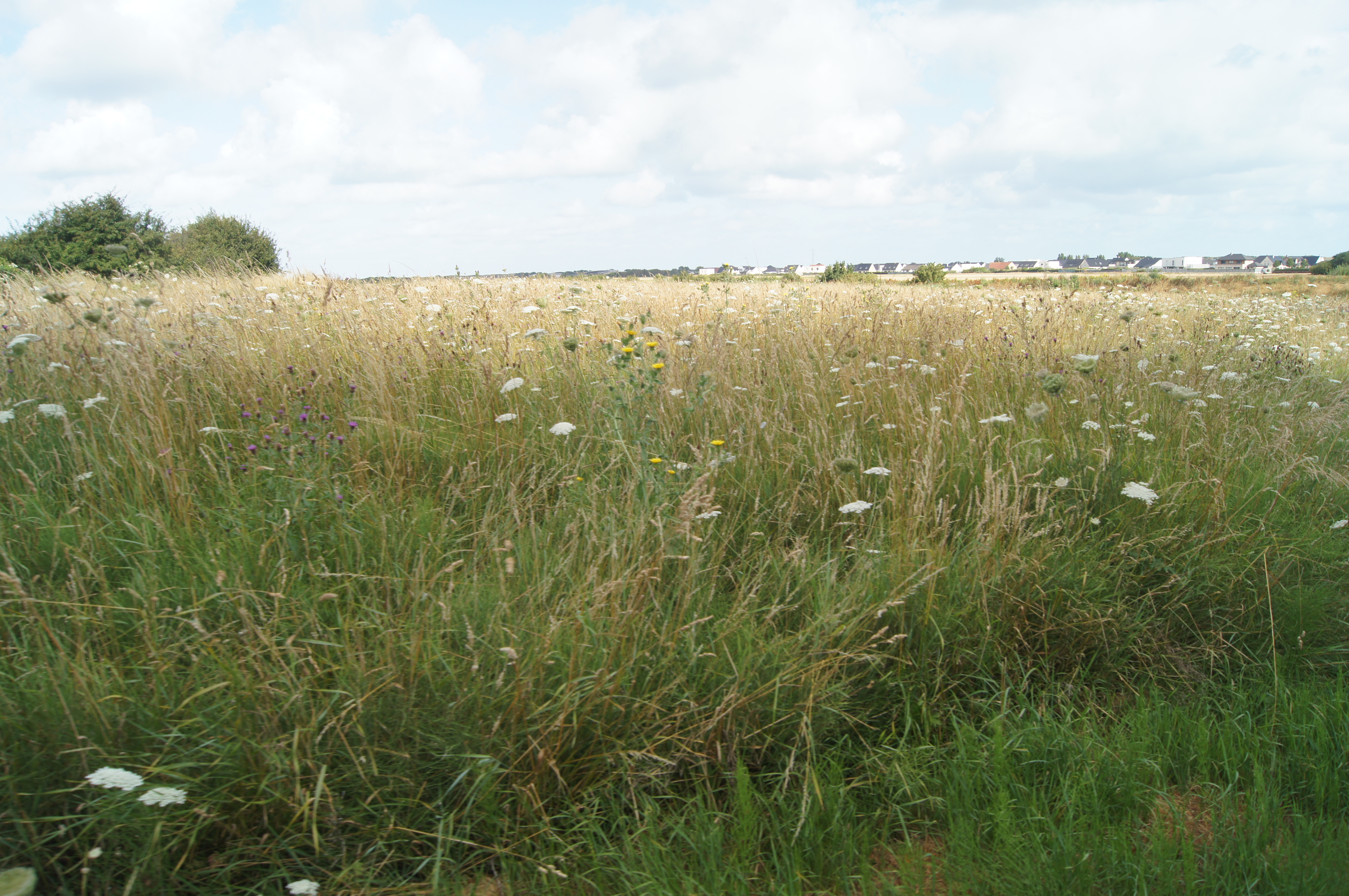 Image 123