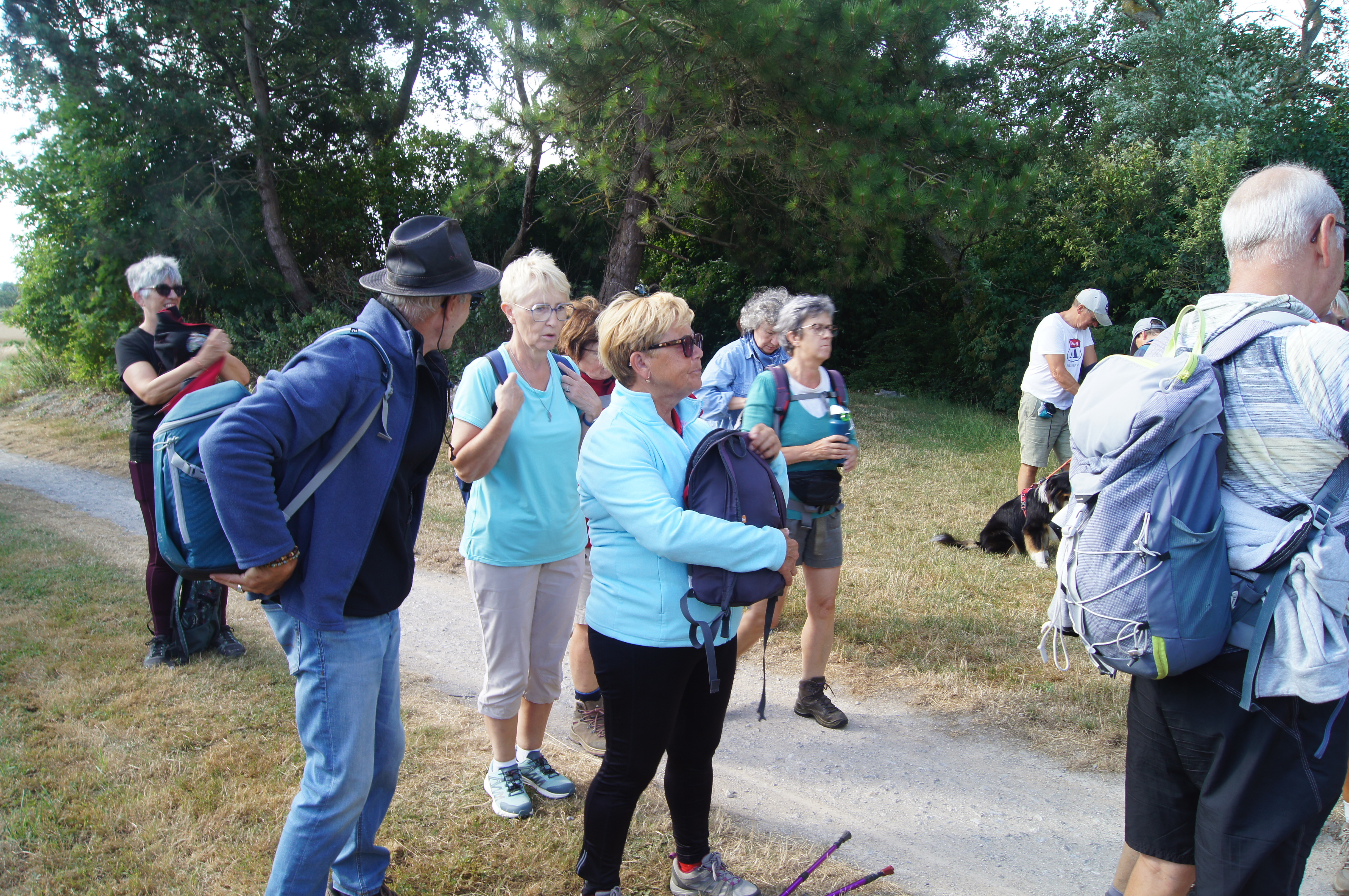 Image 122