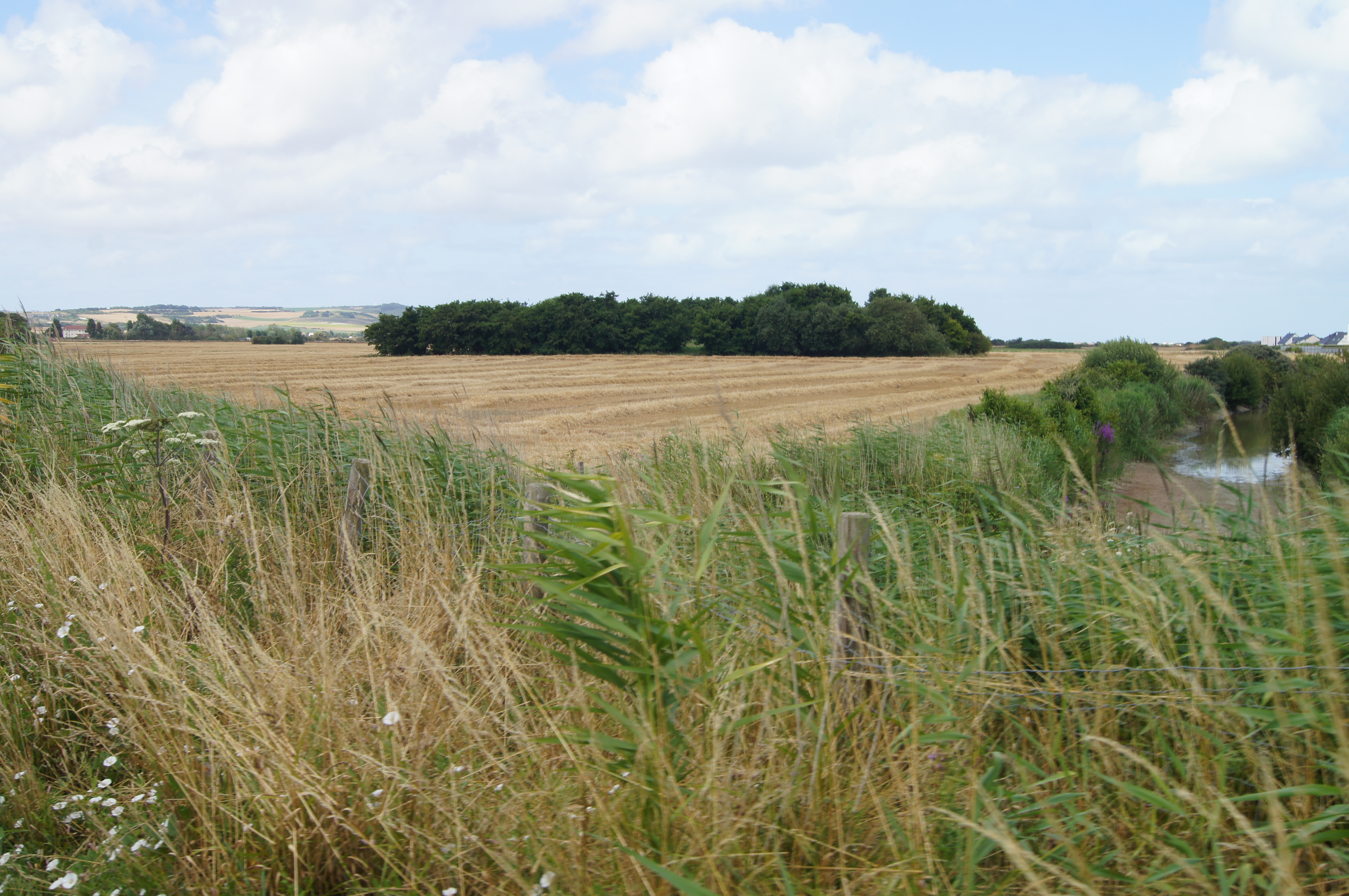 Image 203