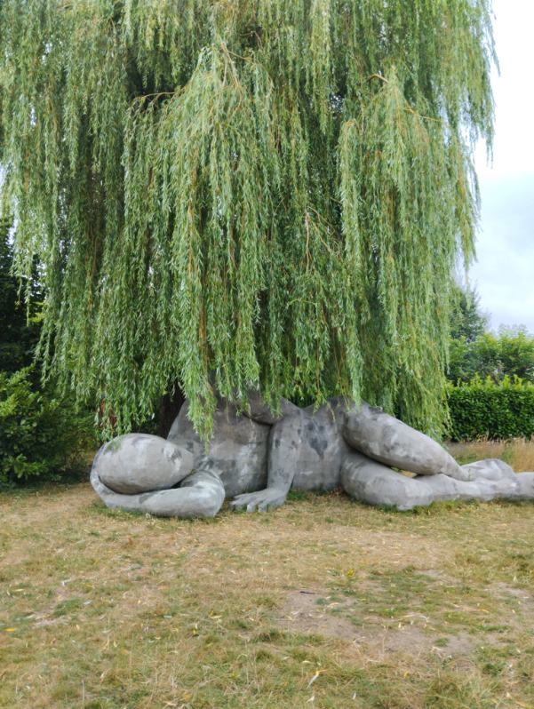 Image 202