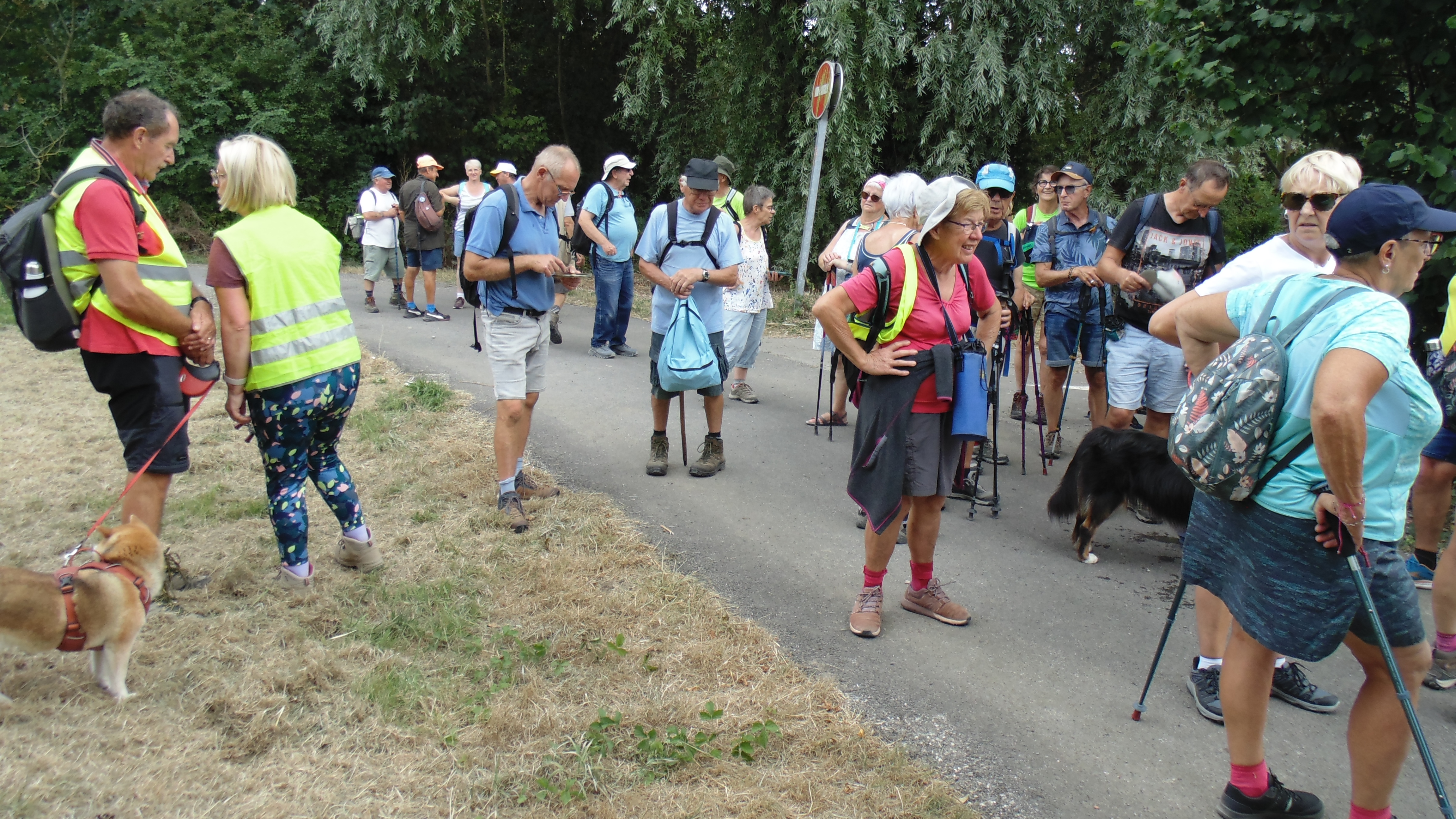 Image 205