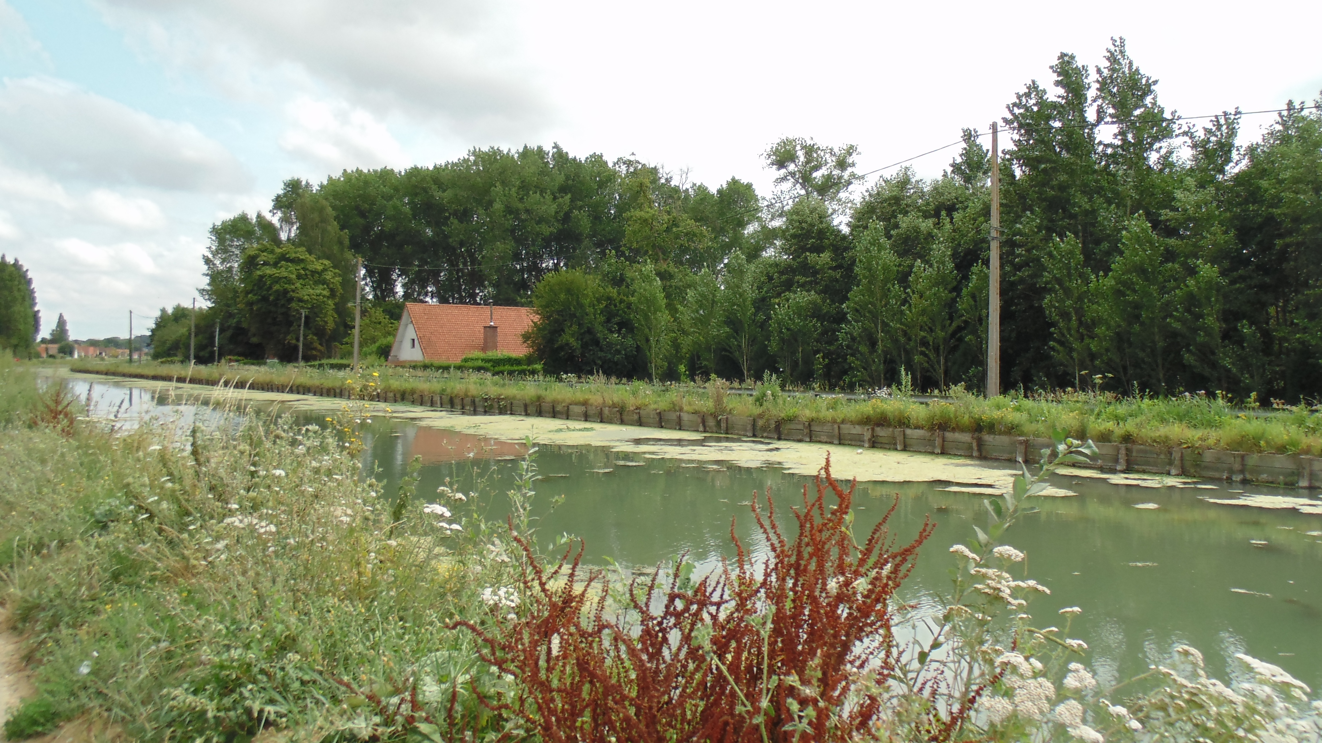 Image 250