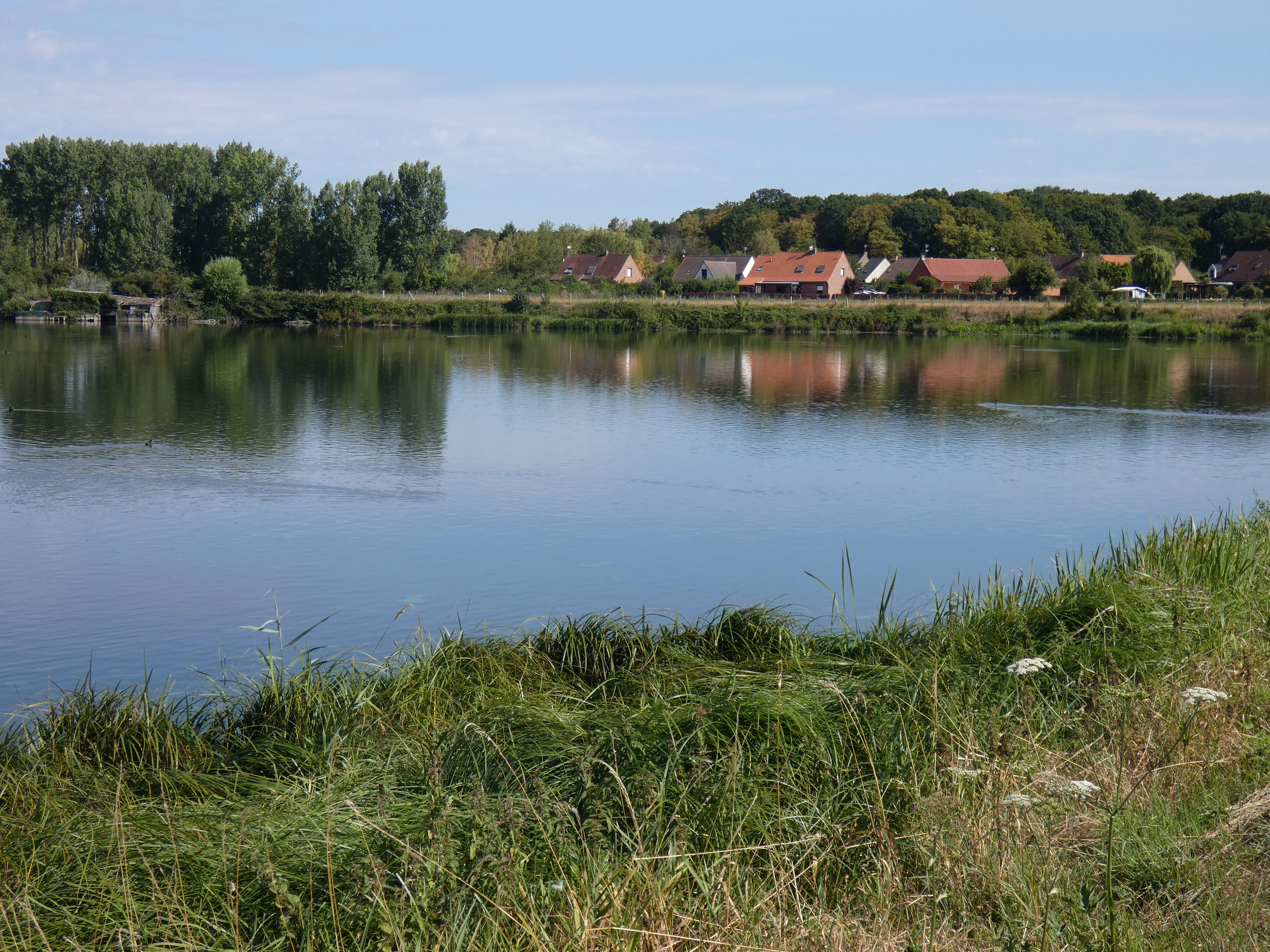 Image 115