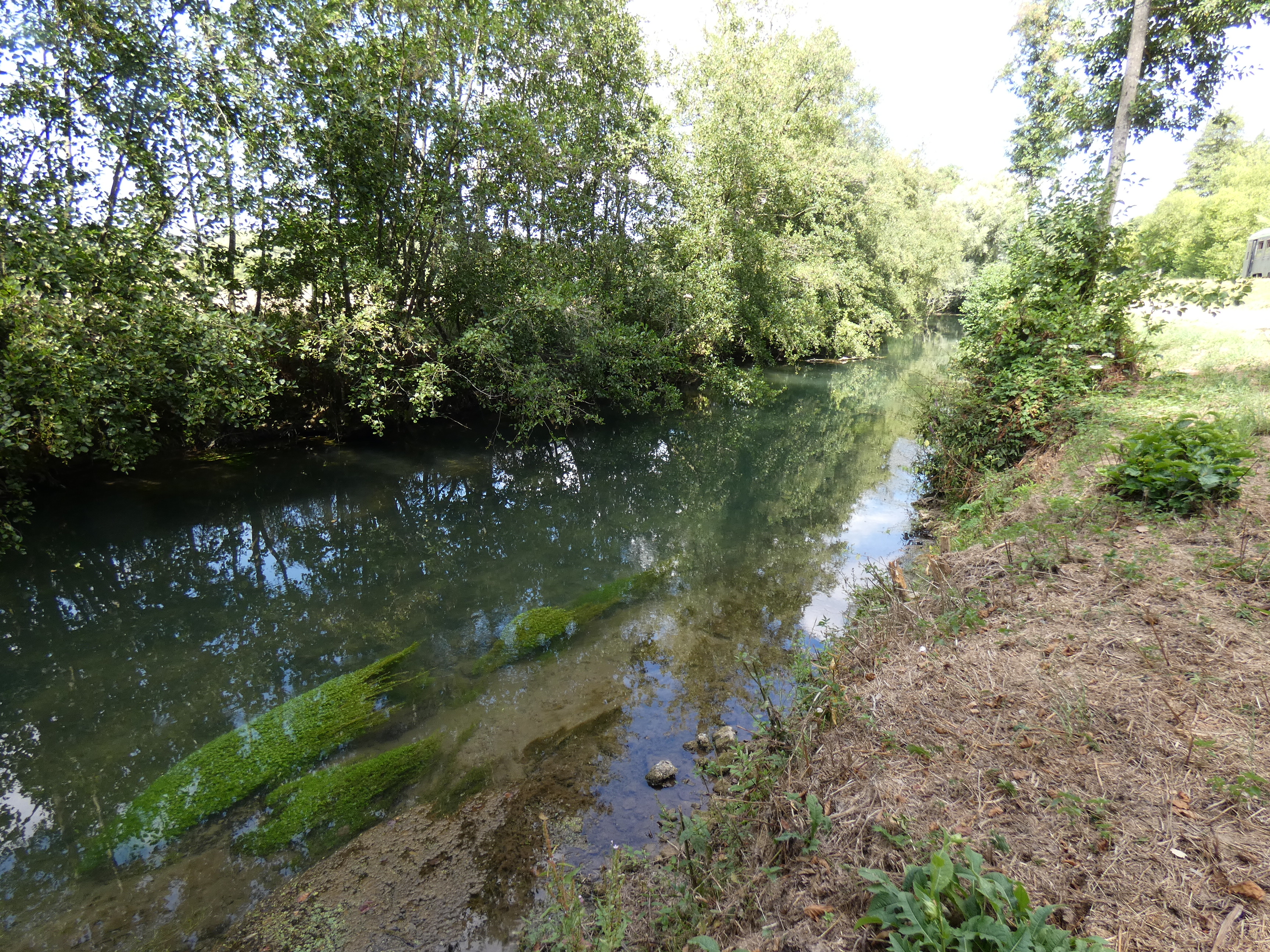 Image 25