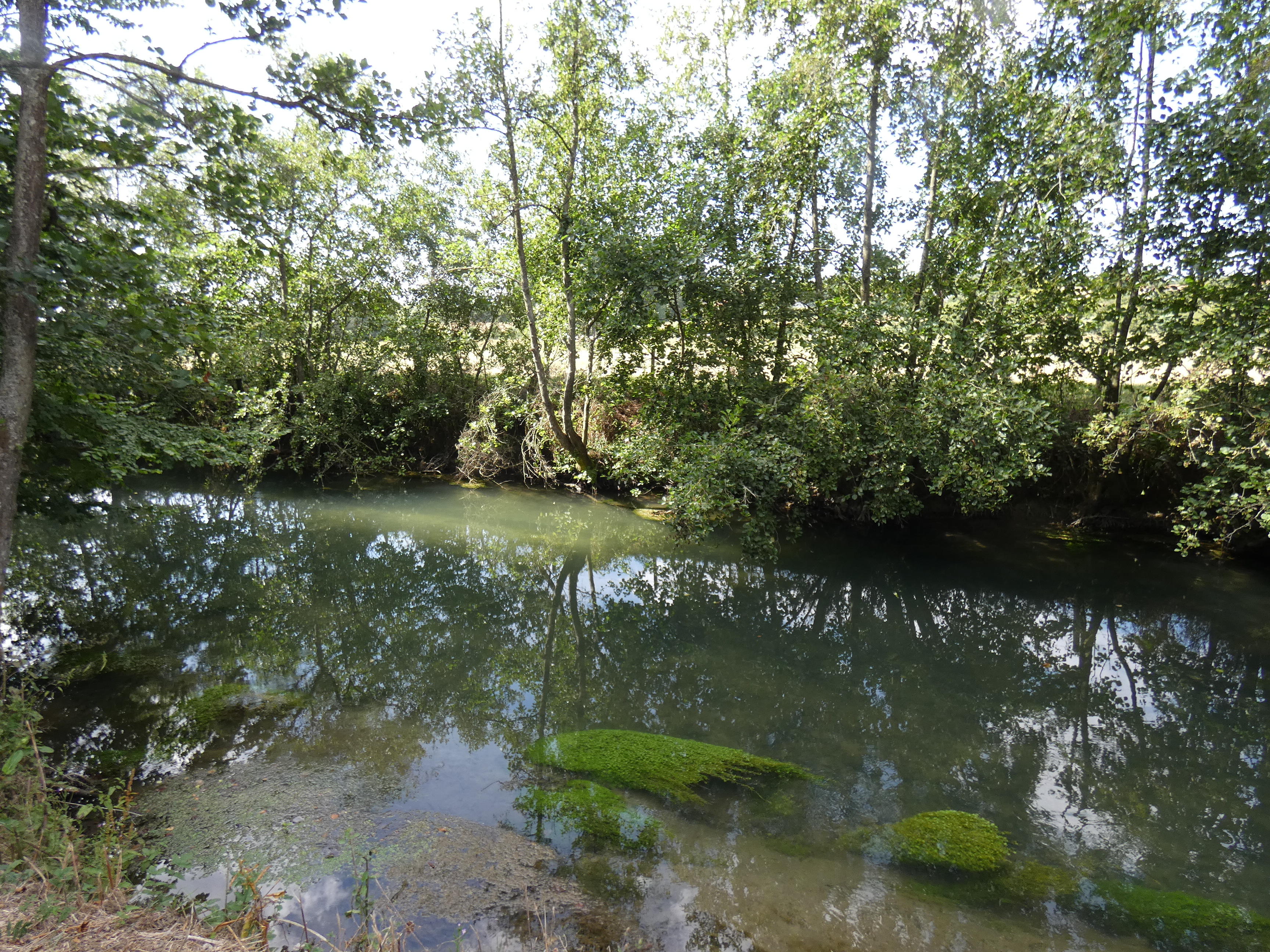 Image 208