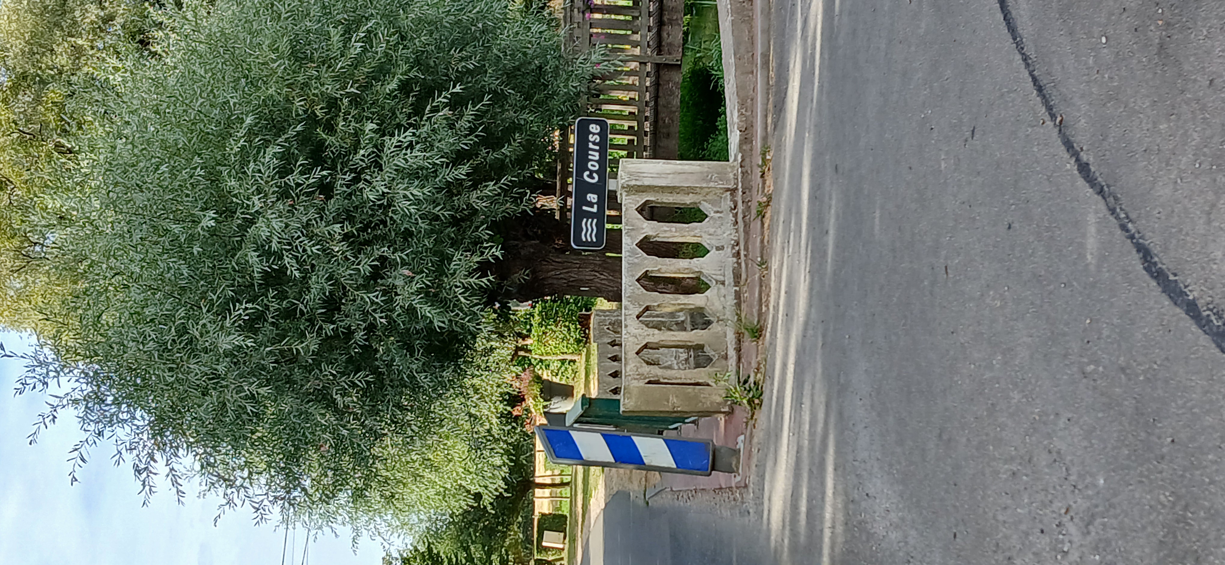 Image 206