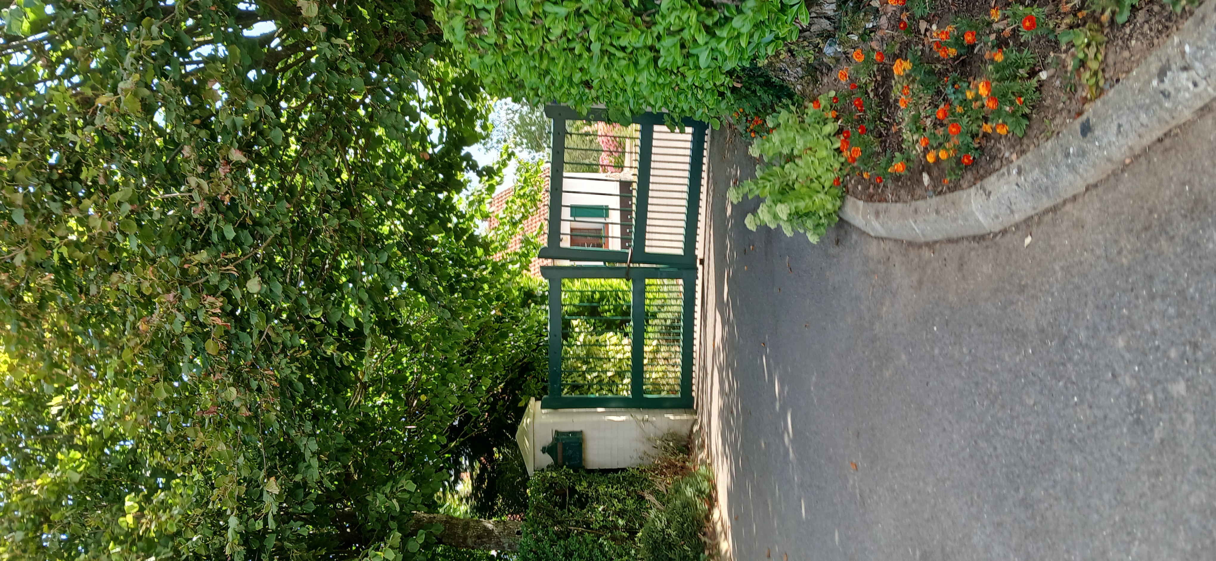 Image 187