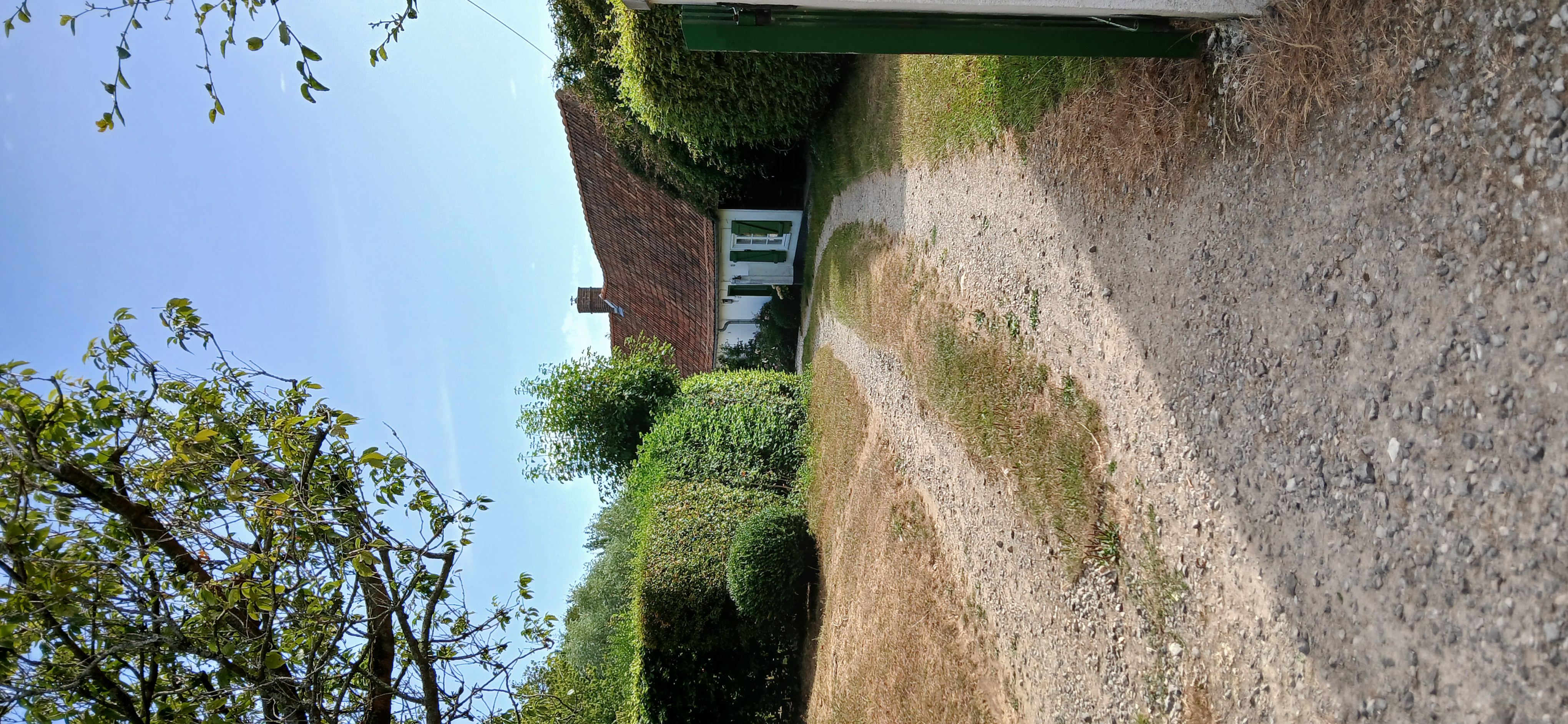 Image 27