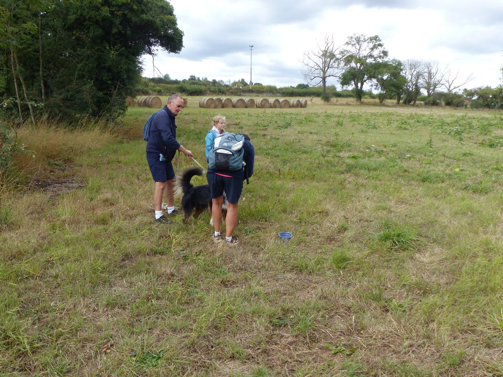 Image 89