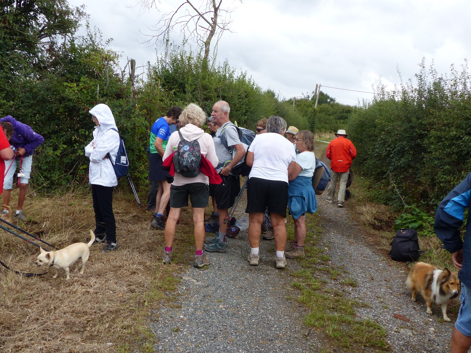 Image 11