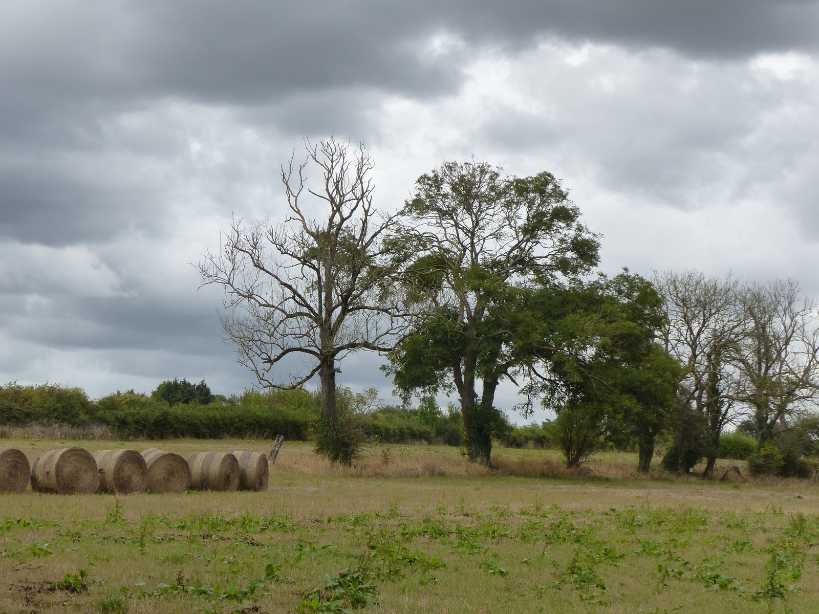 Image 92