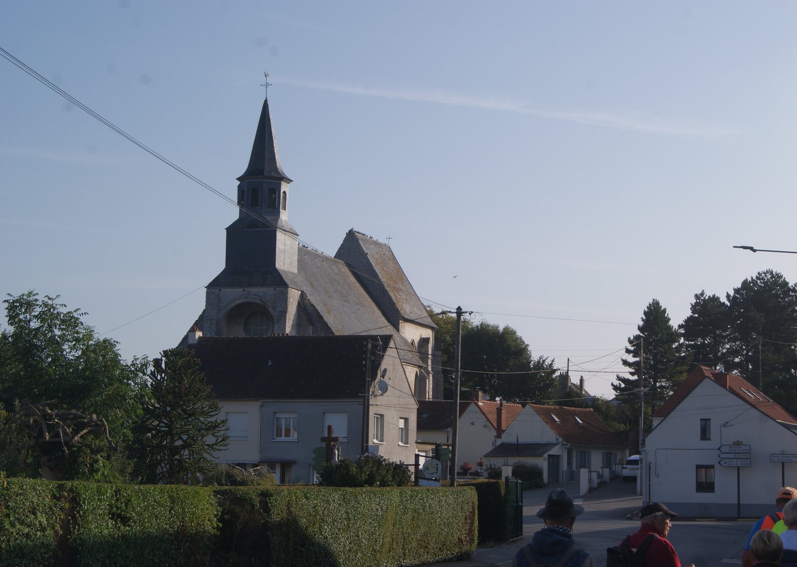 Image 8