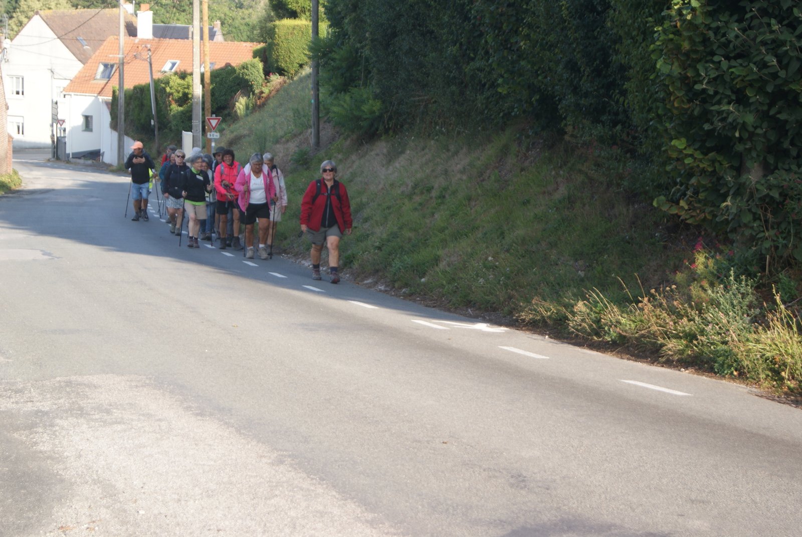 Image 203