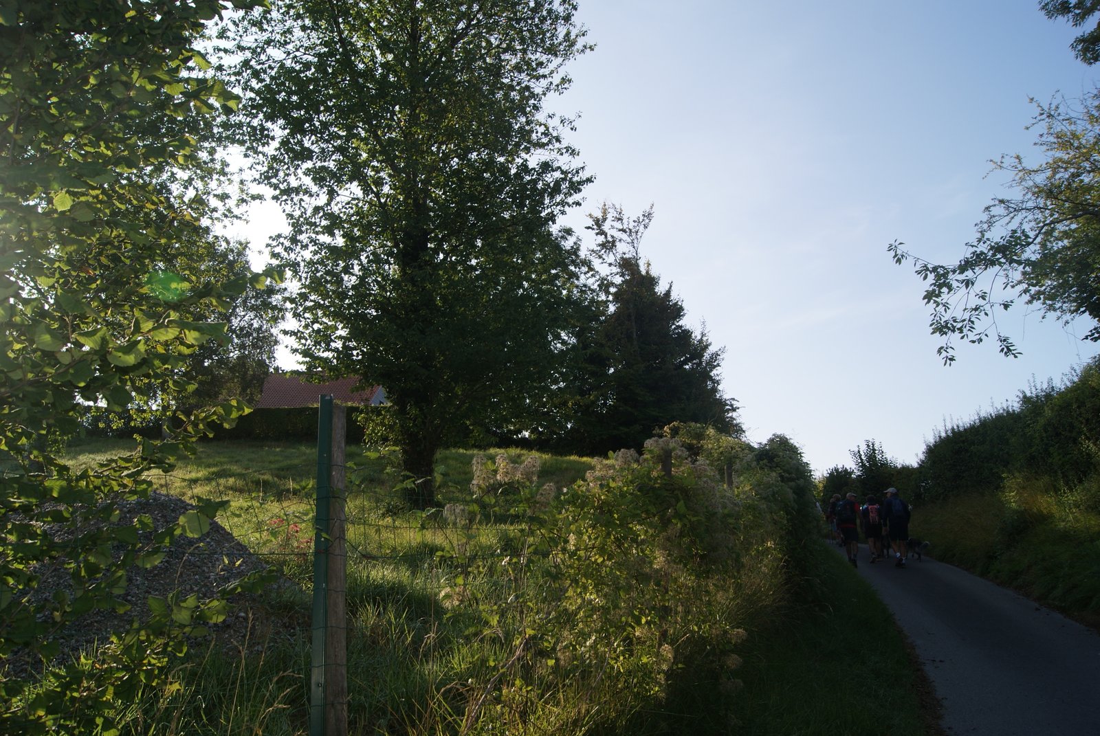 Image 45