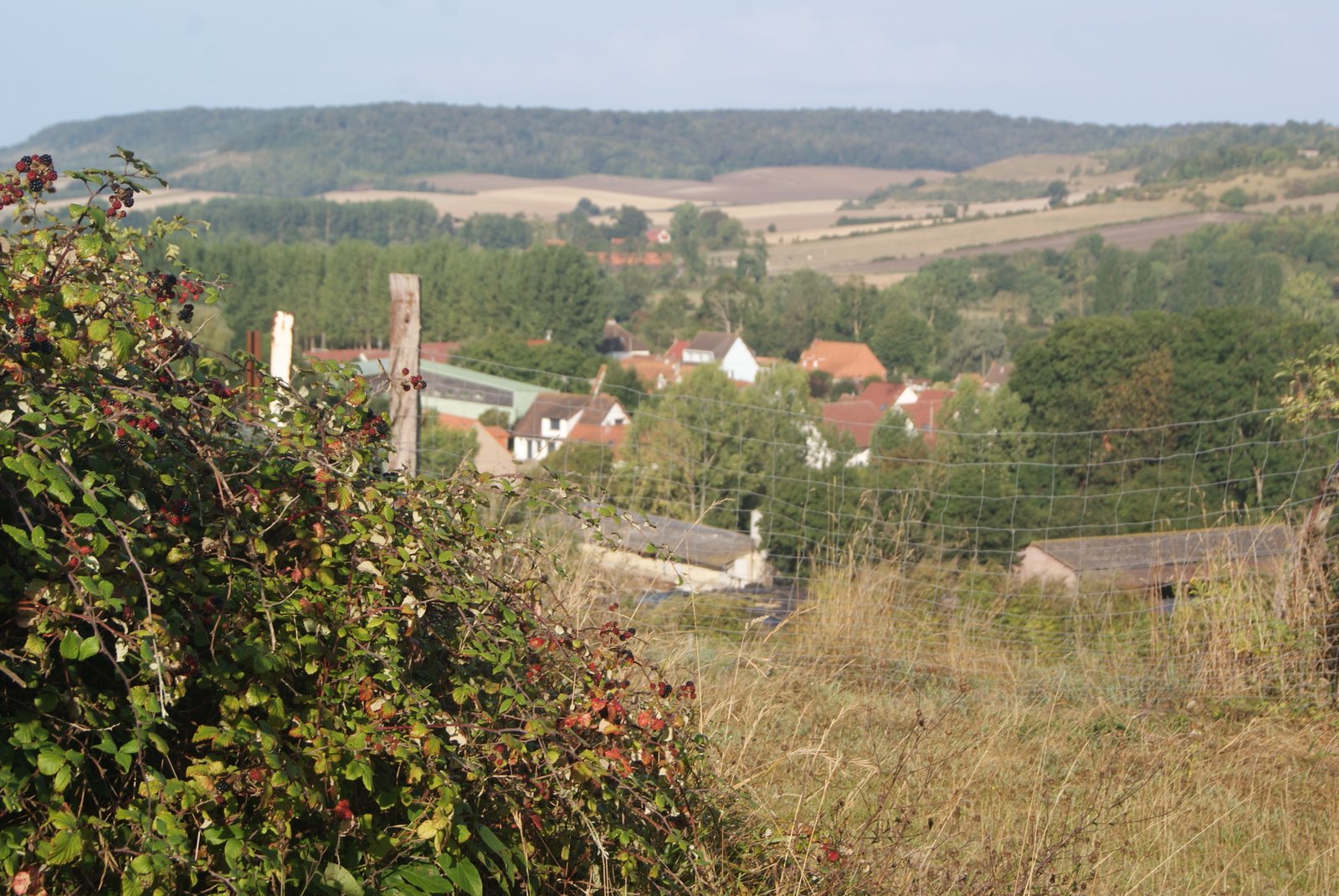 Image 138