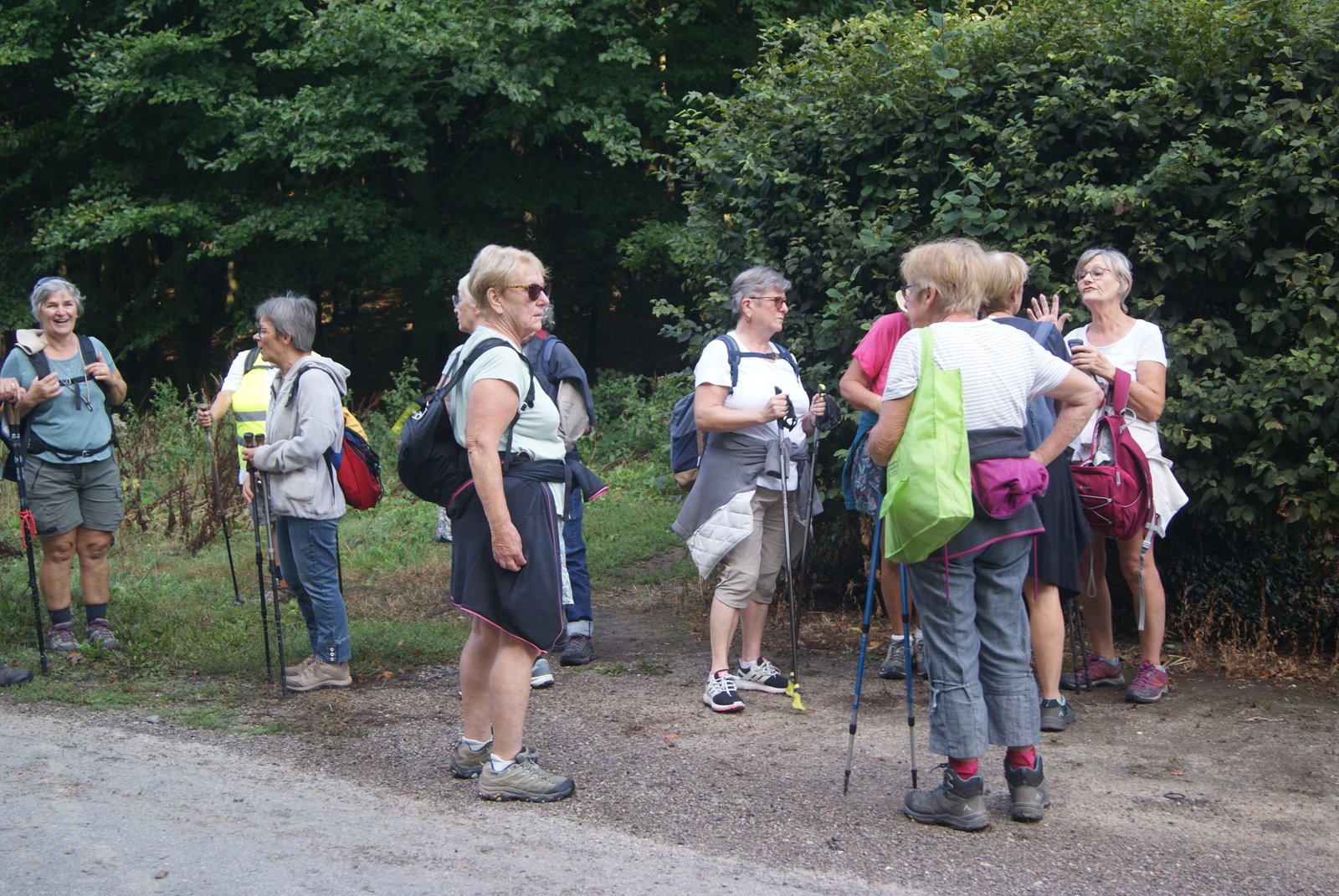 Image 148