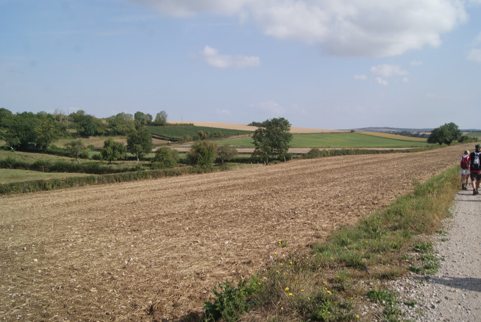 Image 128