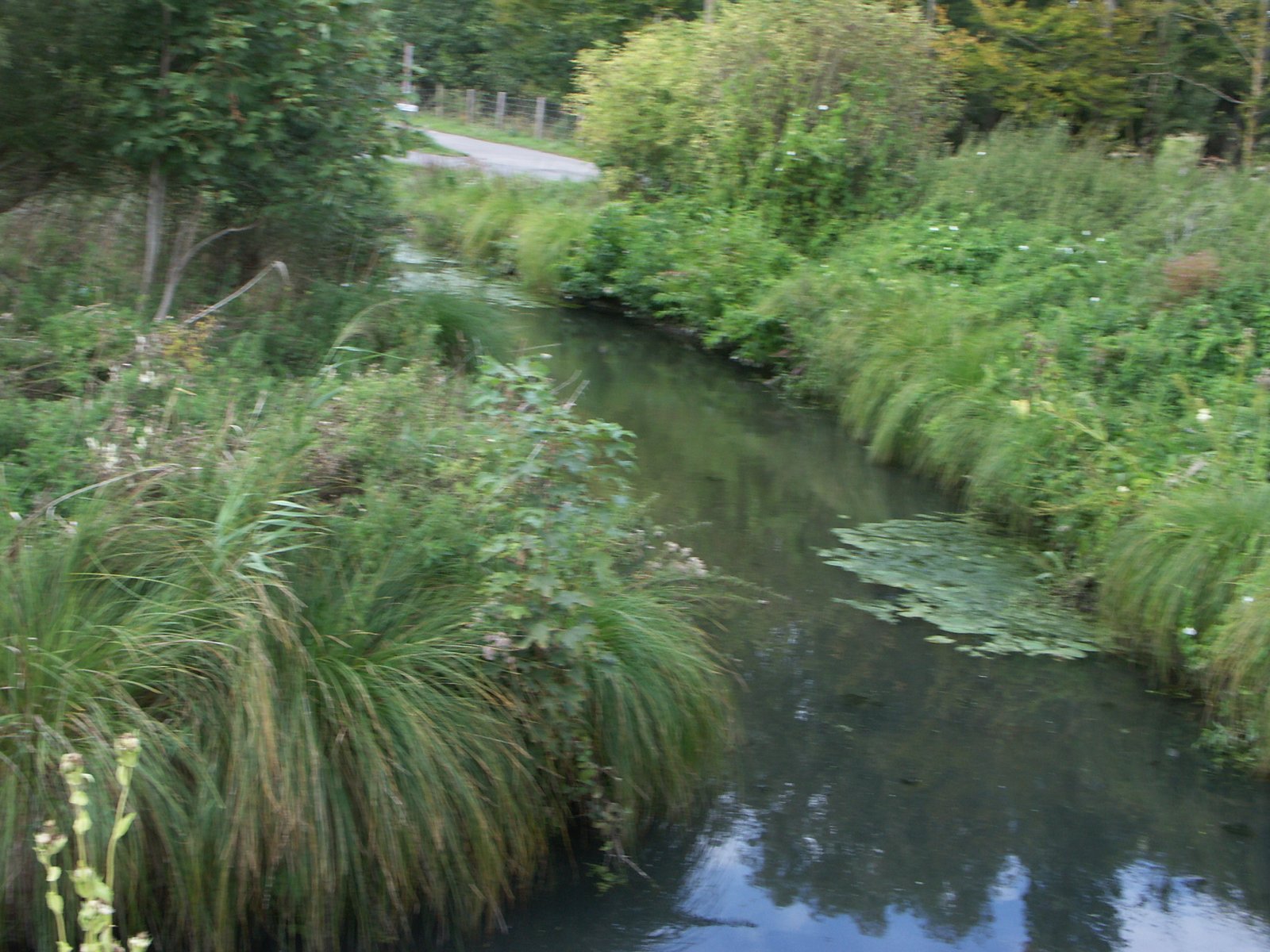 Image 126