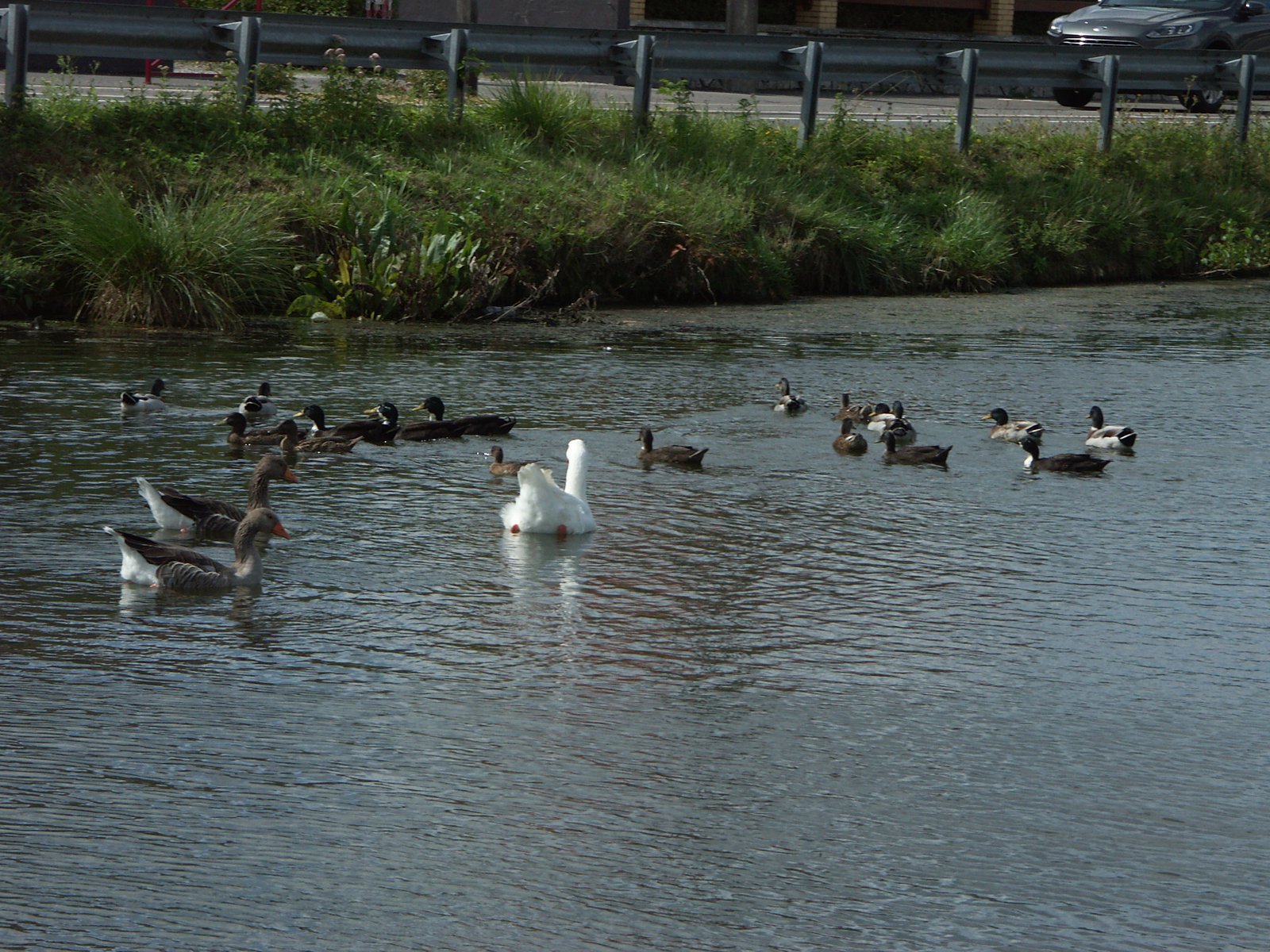 Image 87