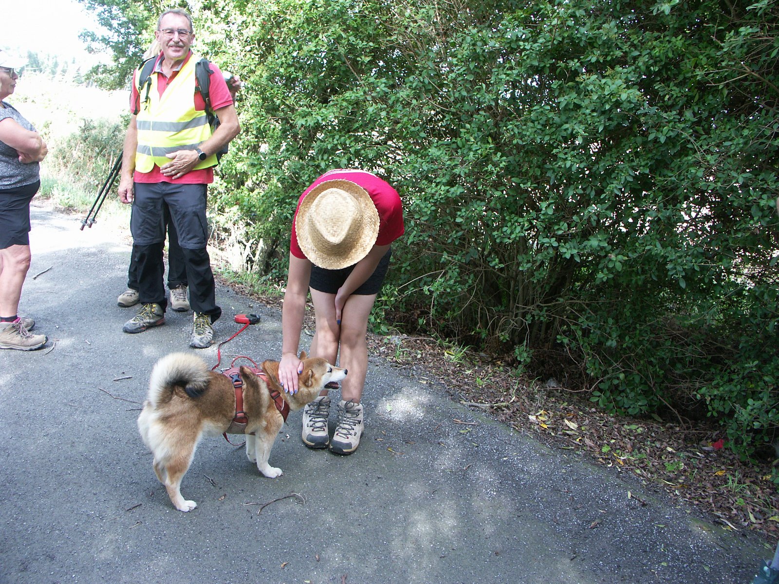 Image 157
