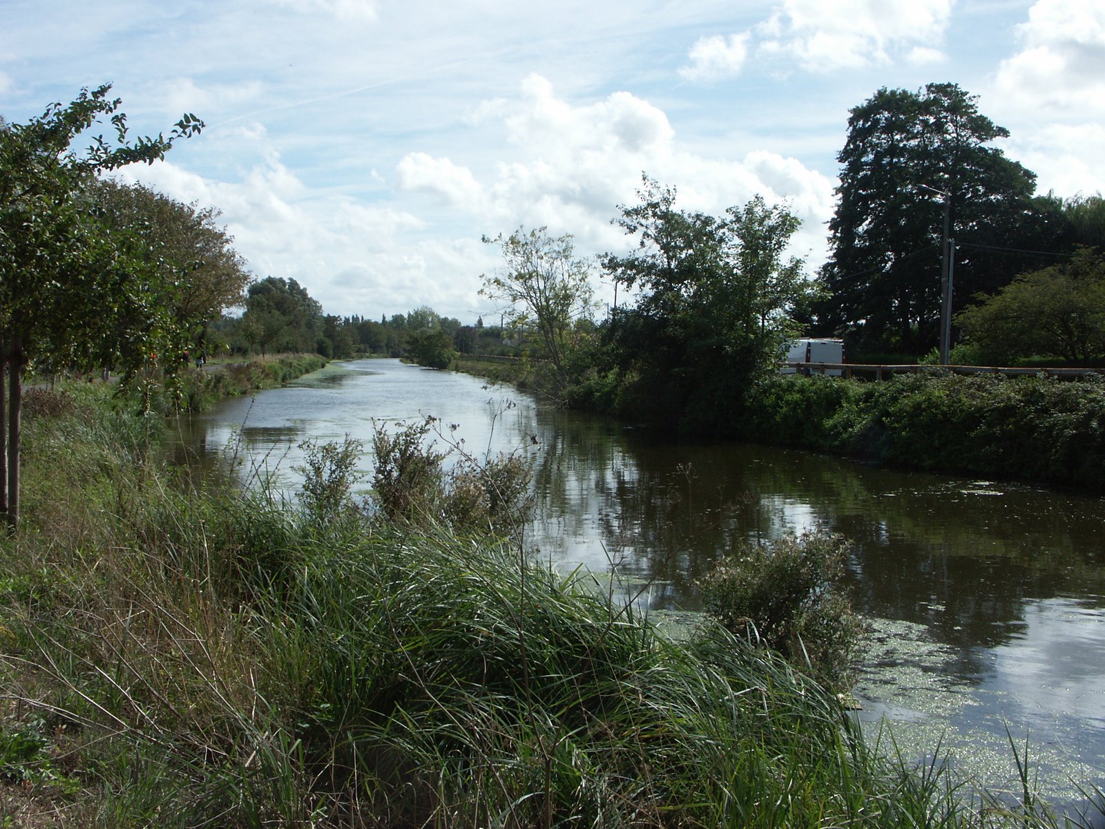 Image 110