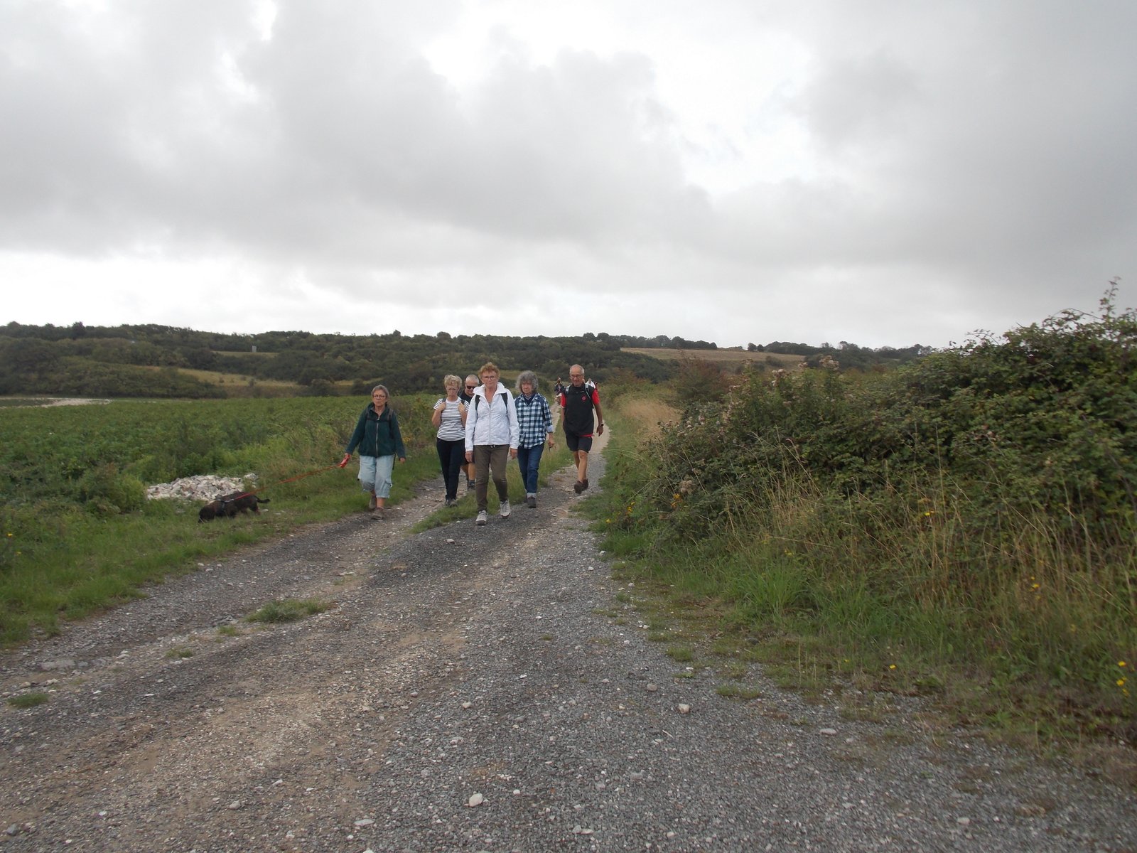 Image 10