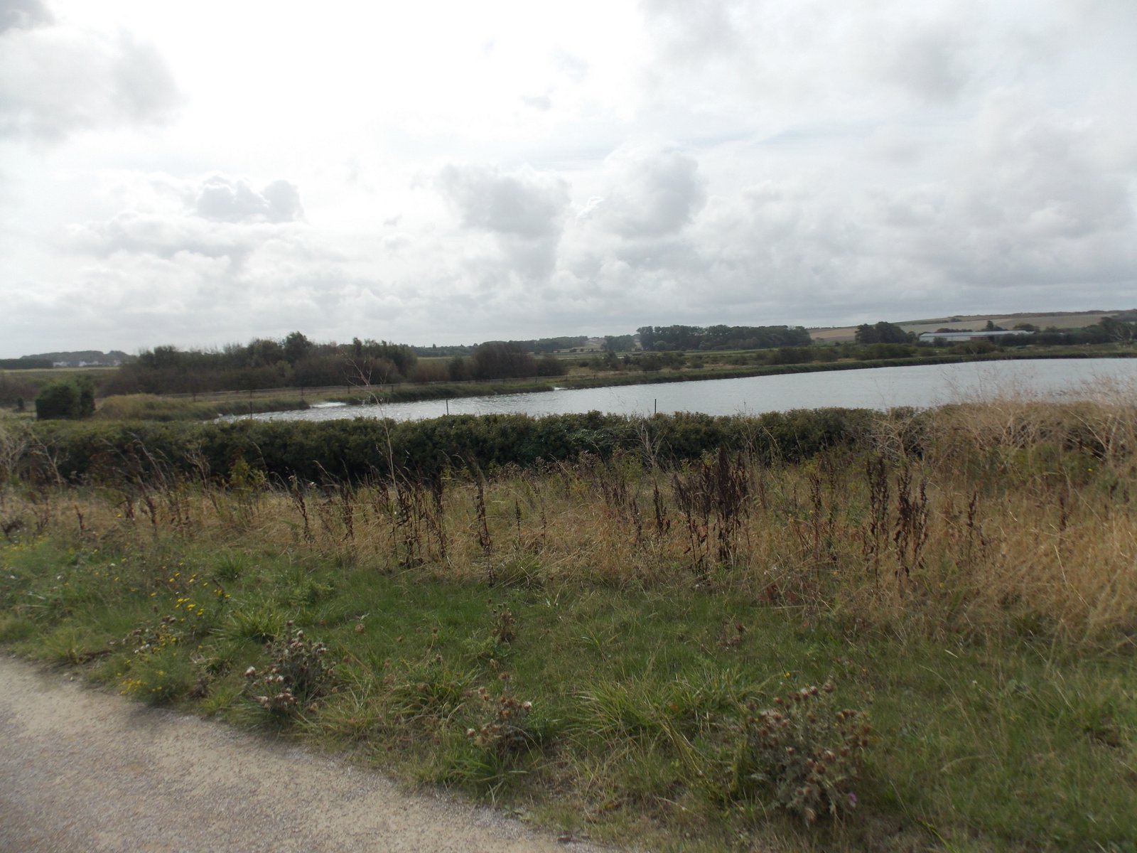 Image 203