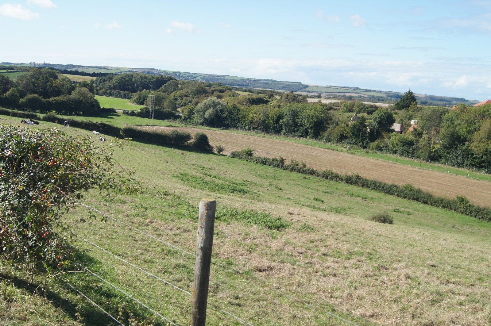Image 75