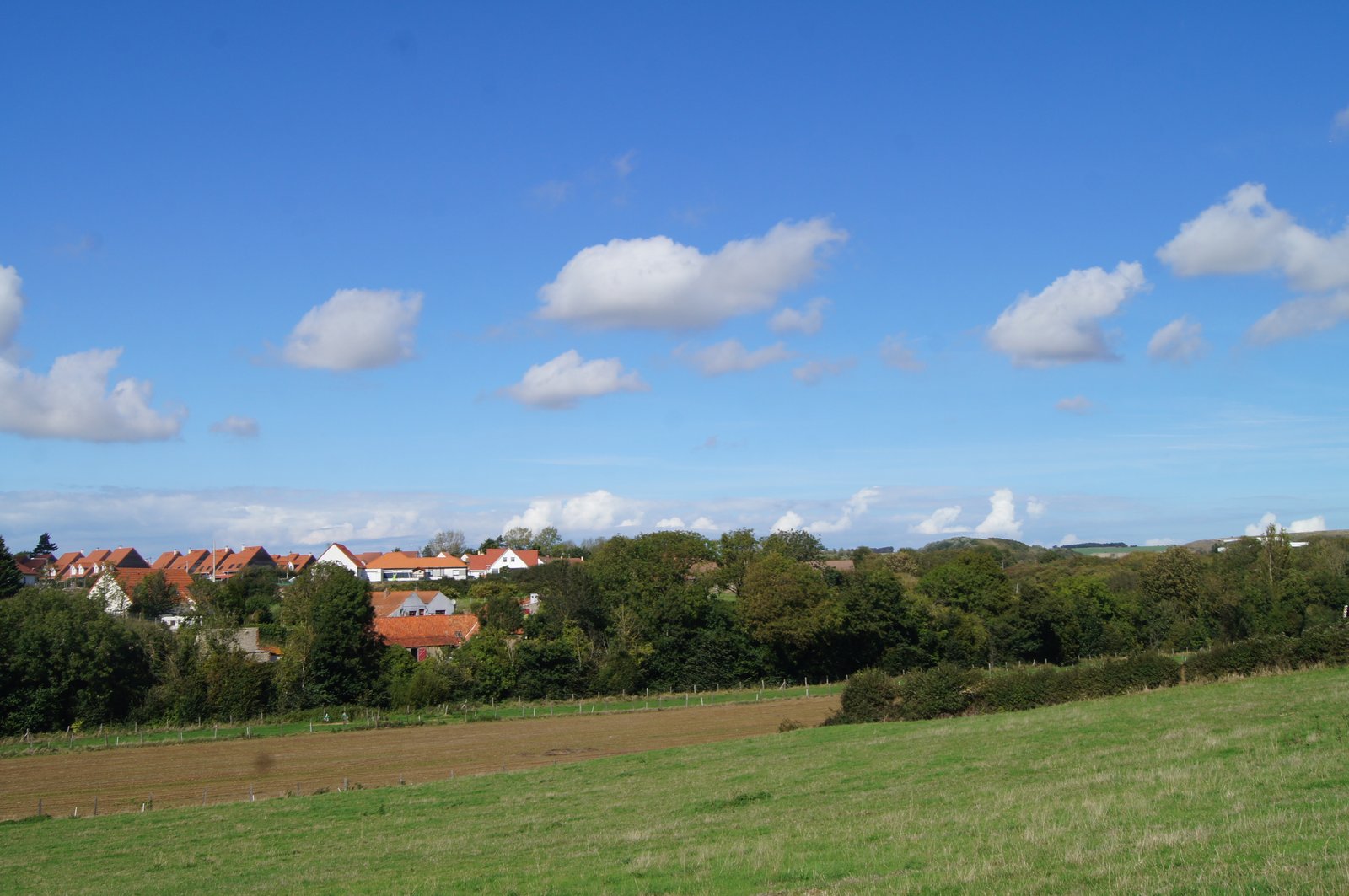 Image 97