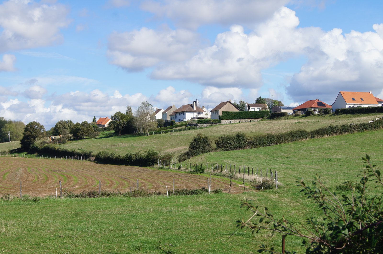Image 132