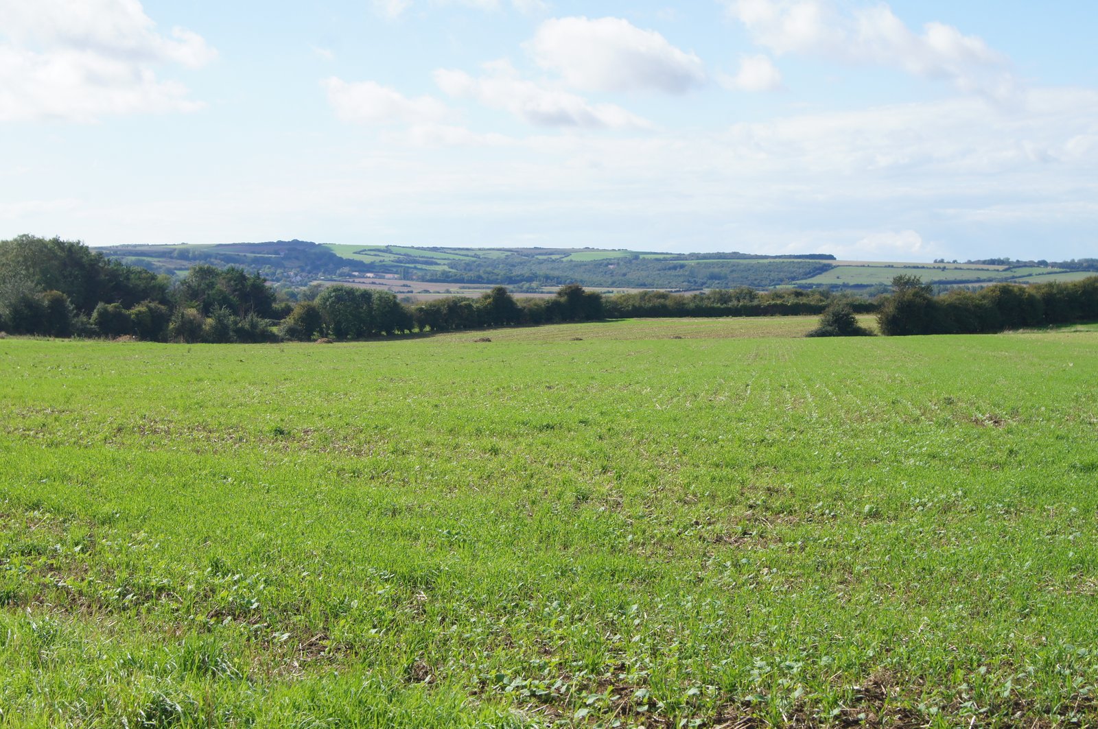 Image 169