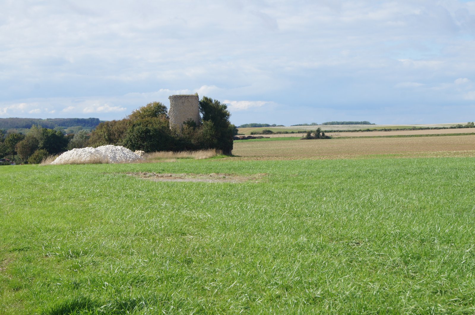 Image 79