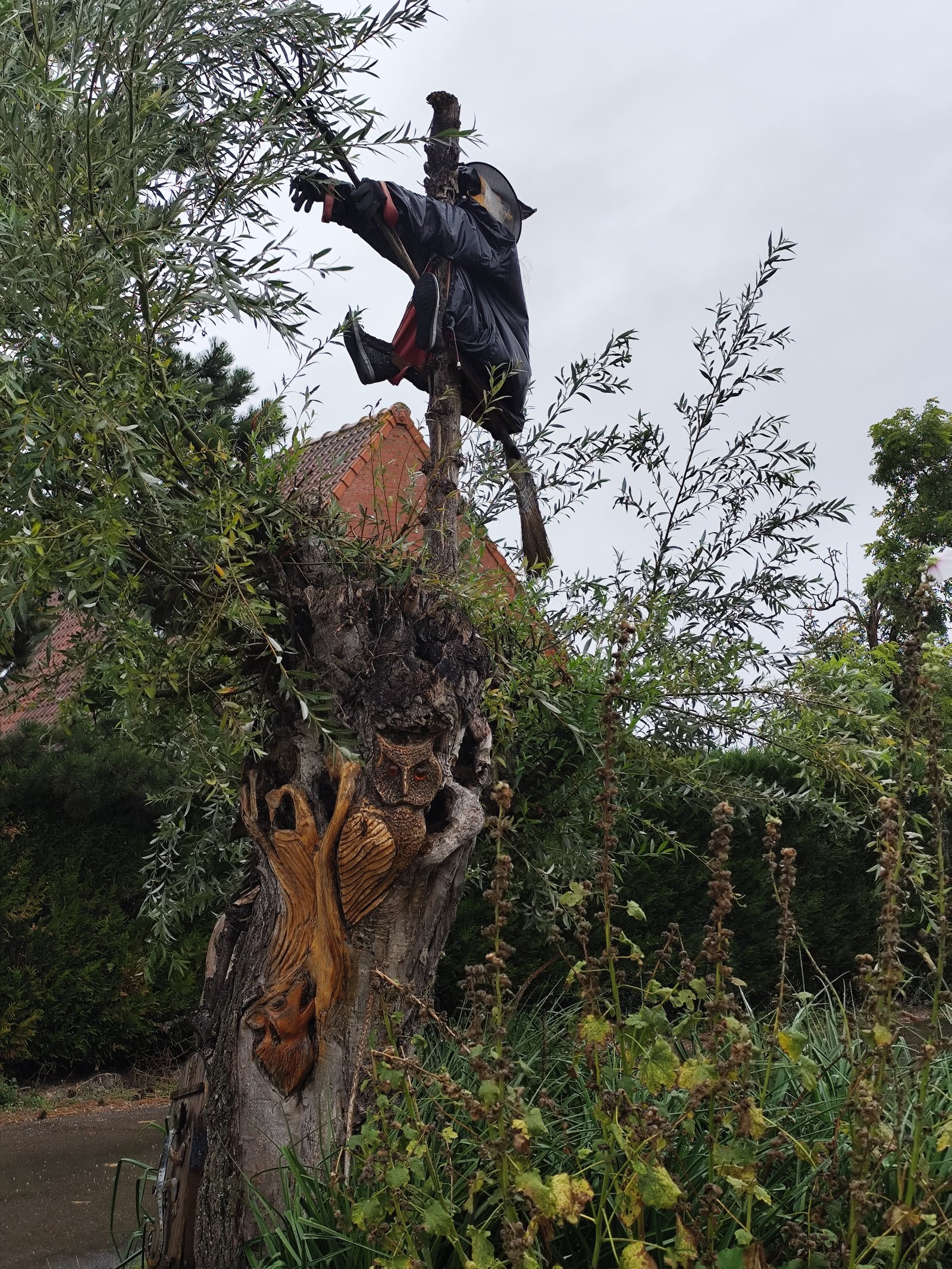 Image 30
