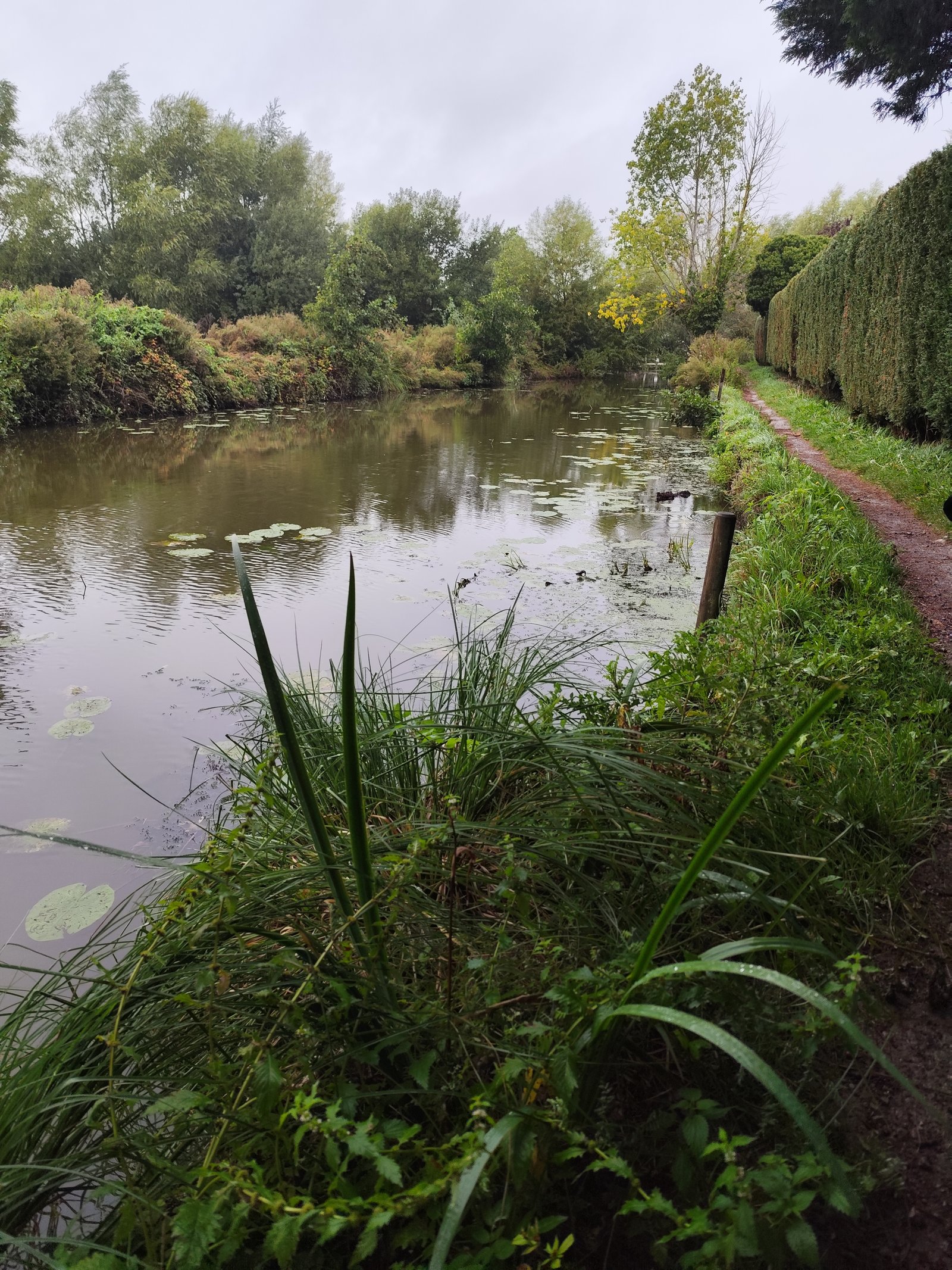 Image 31