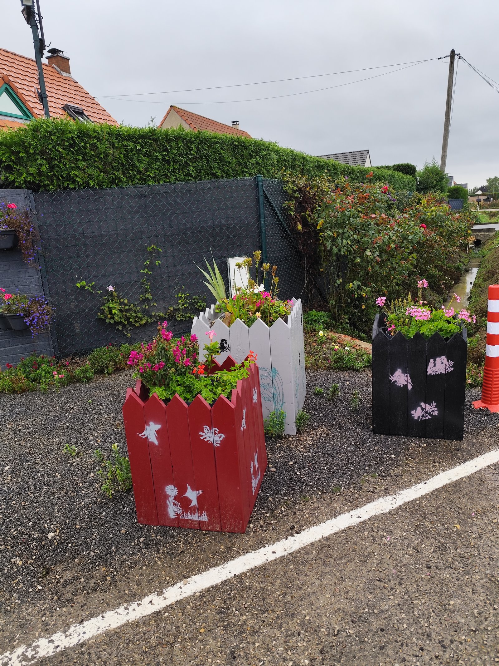 Image 29