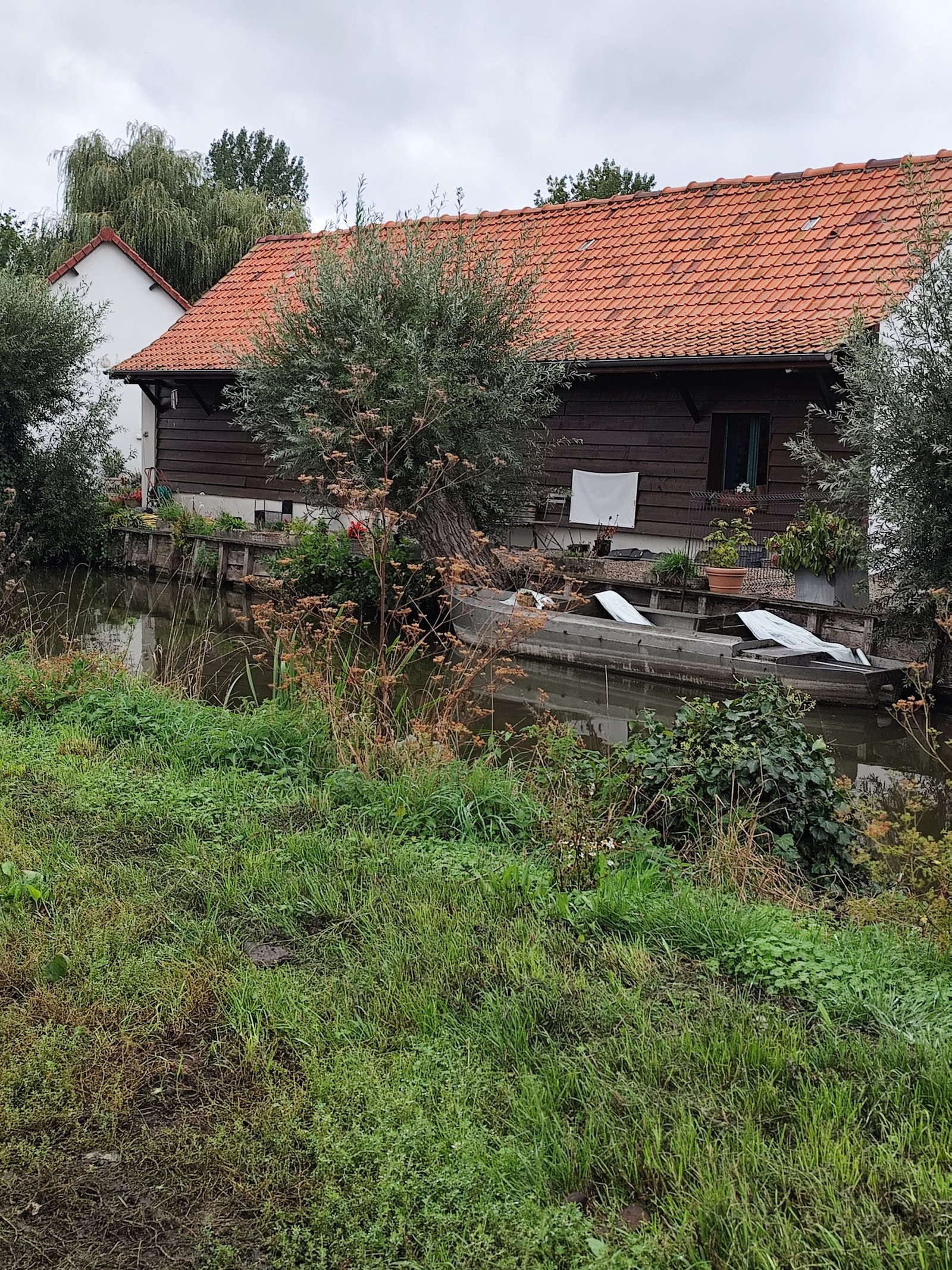 Image 14