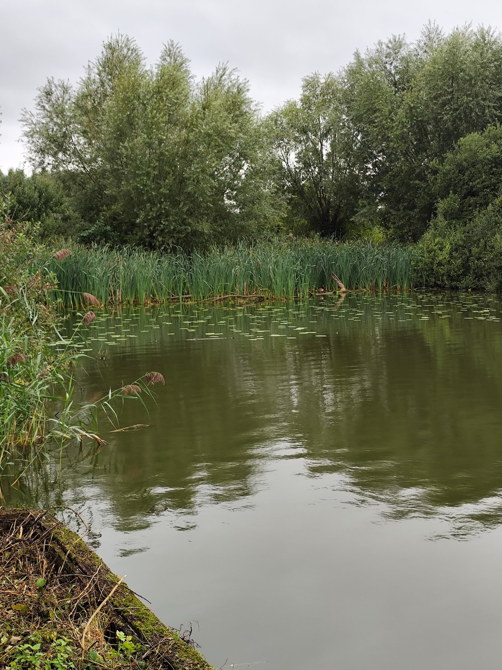 Image 52