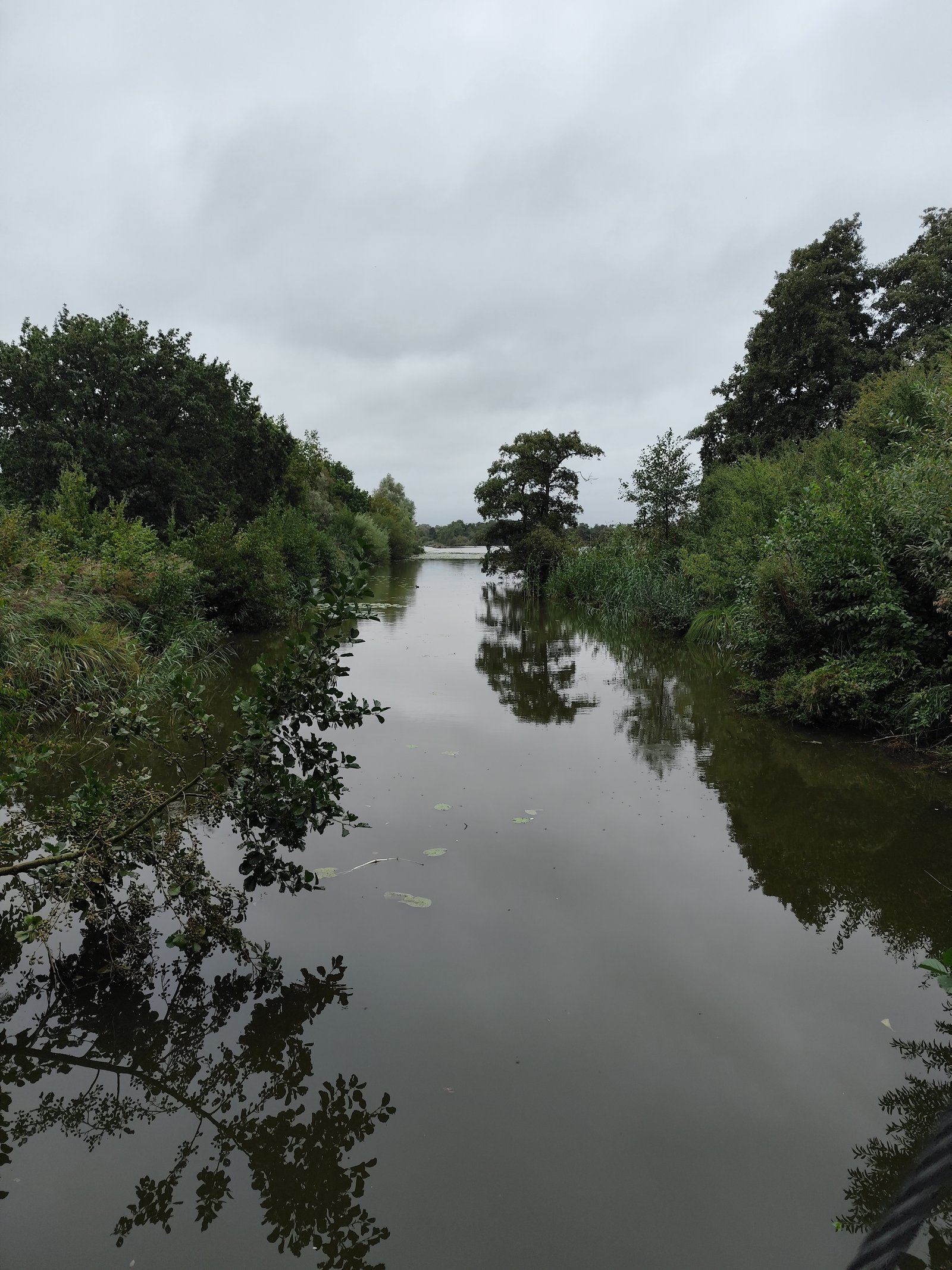 Image 111