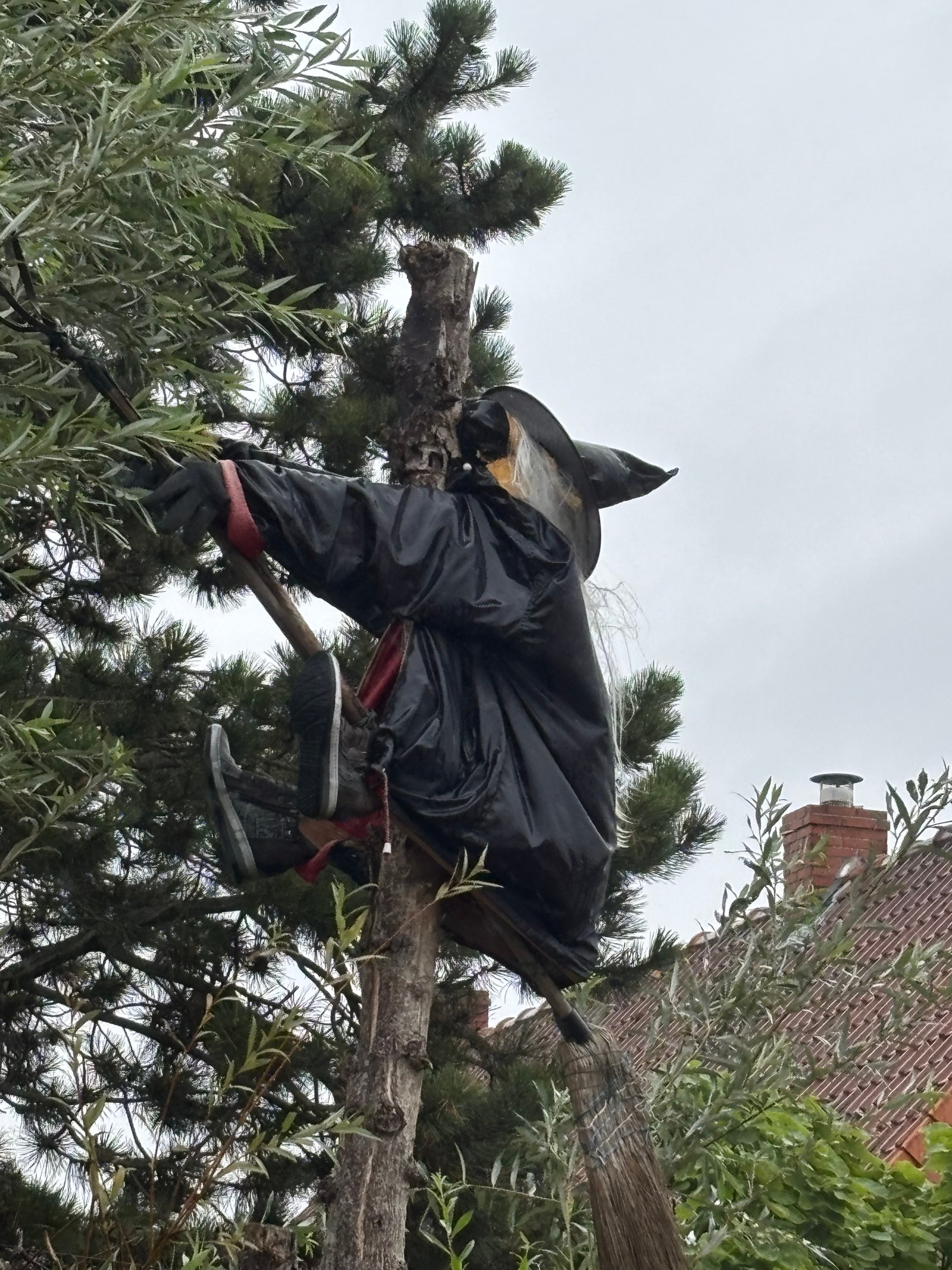 Image 130
