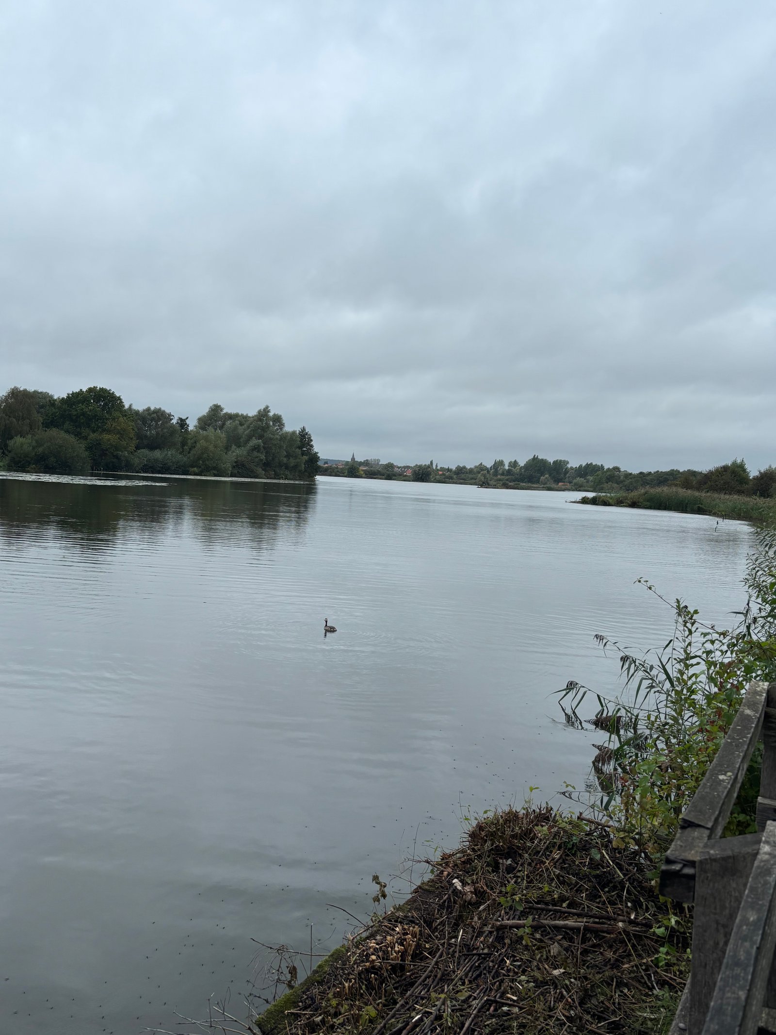 Image 20