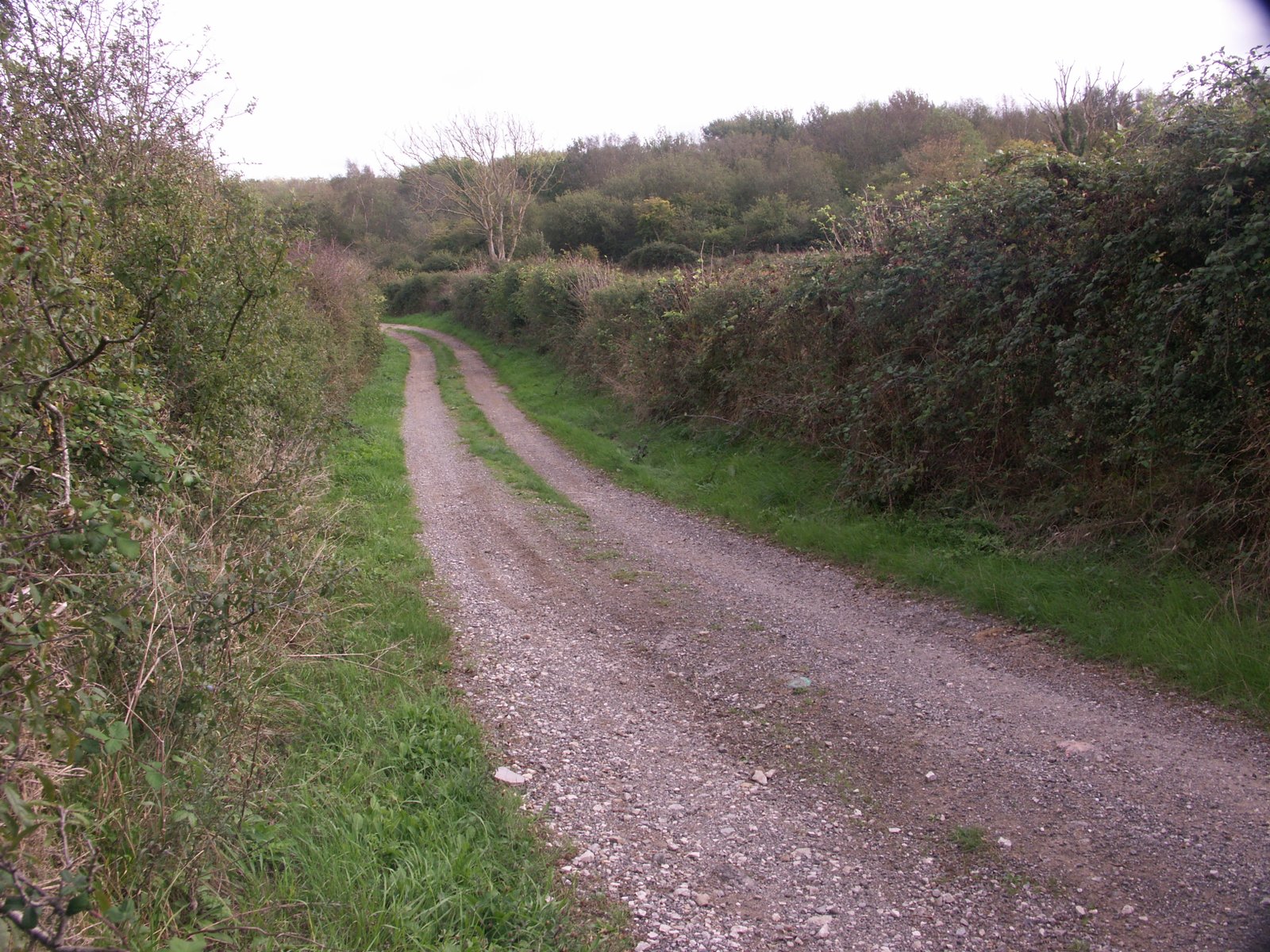 Image 141