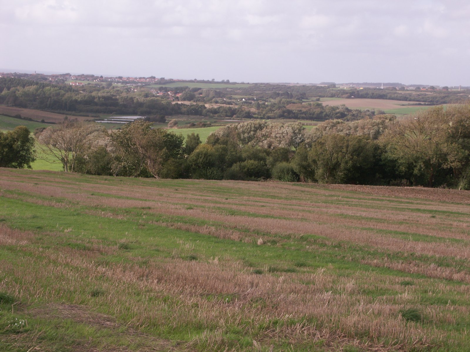 Image 53